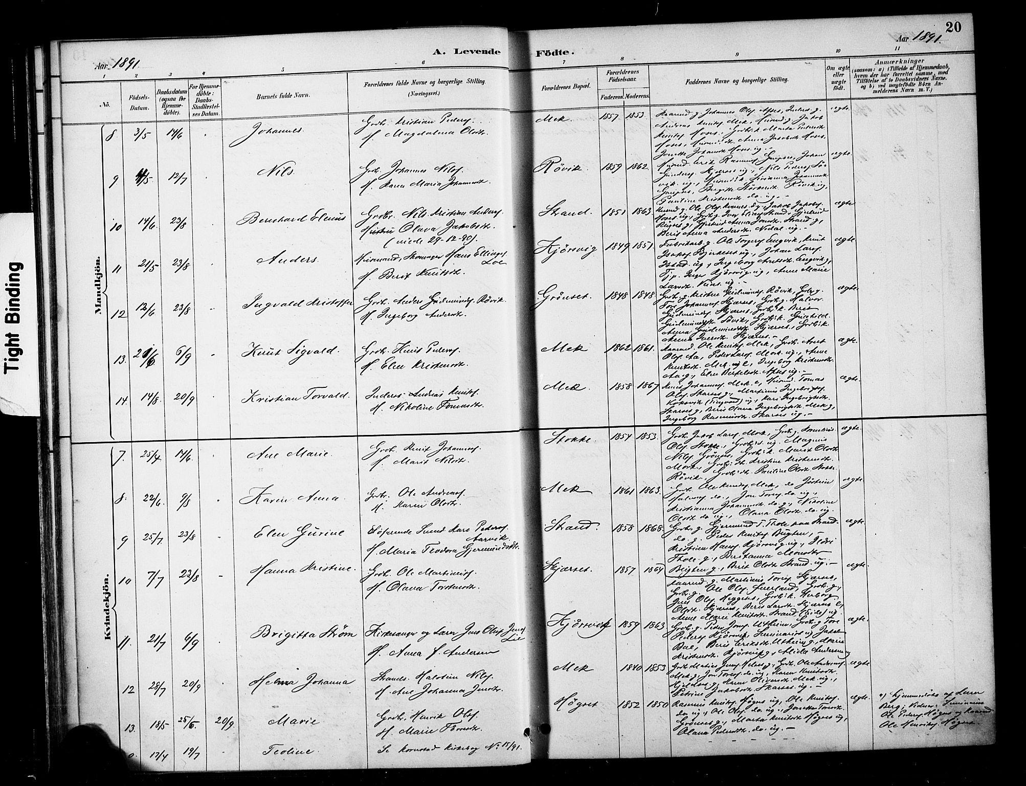 Ministerialprotokoller, klokkerbøker og fødselsregistre - Møre og Romsdal, AV/SAT-A-1454/568/L0809: Parish register (official) no. 568A13, 1884-1900, p. 20