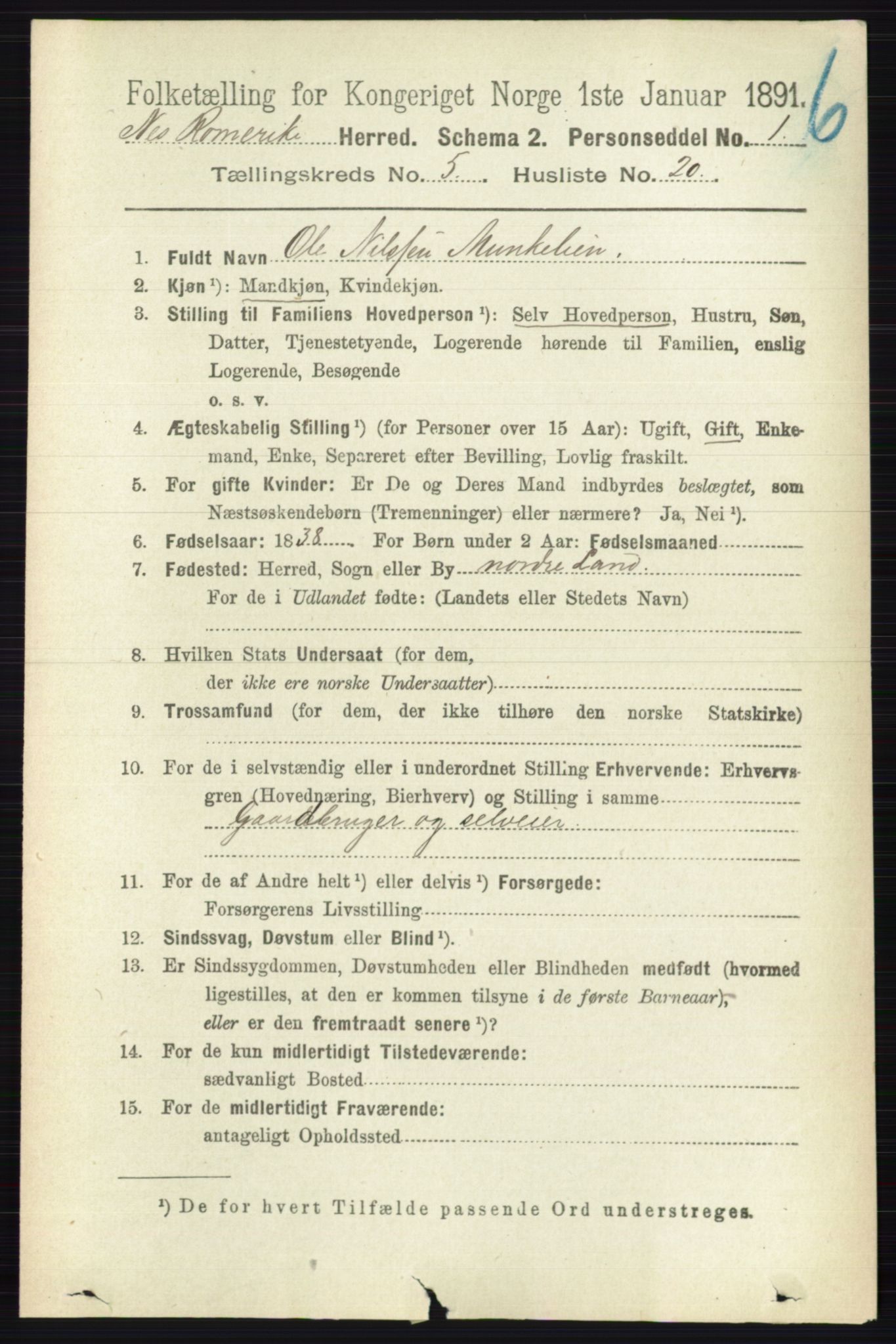 RA, 1891 census for 0236 Nes, 1891, p. 2896