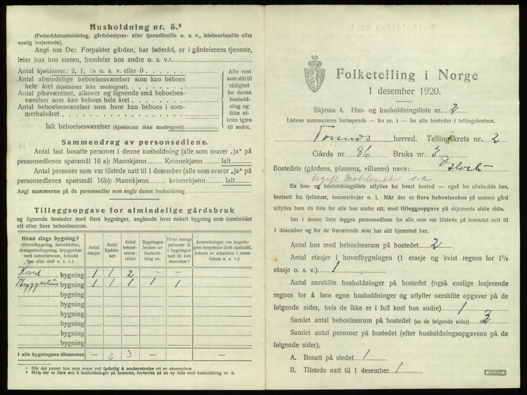 SAO, 1920 census for Torsnes, 1920, p. 244