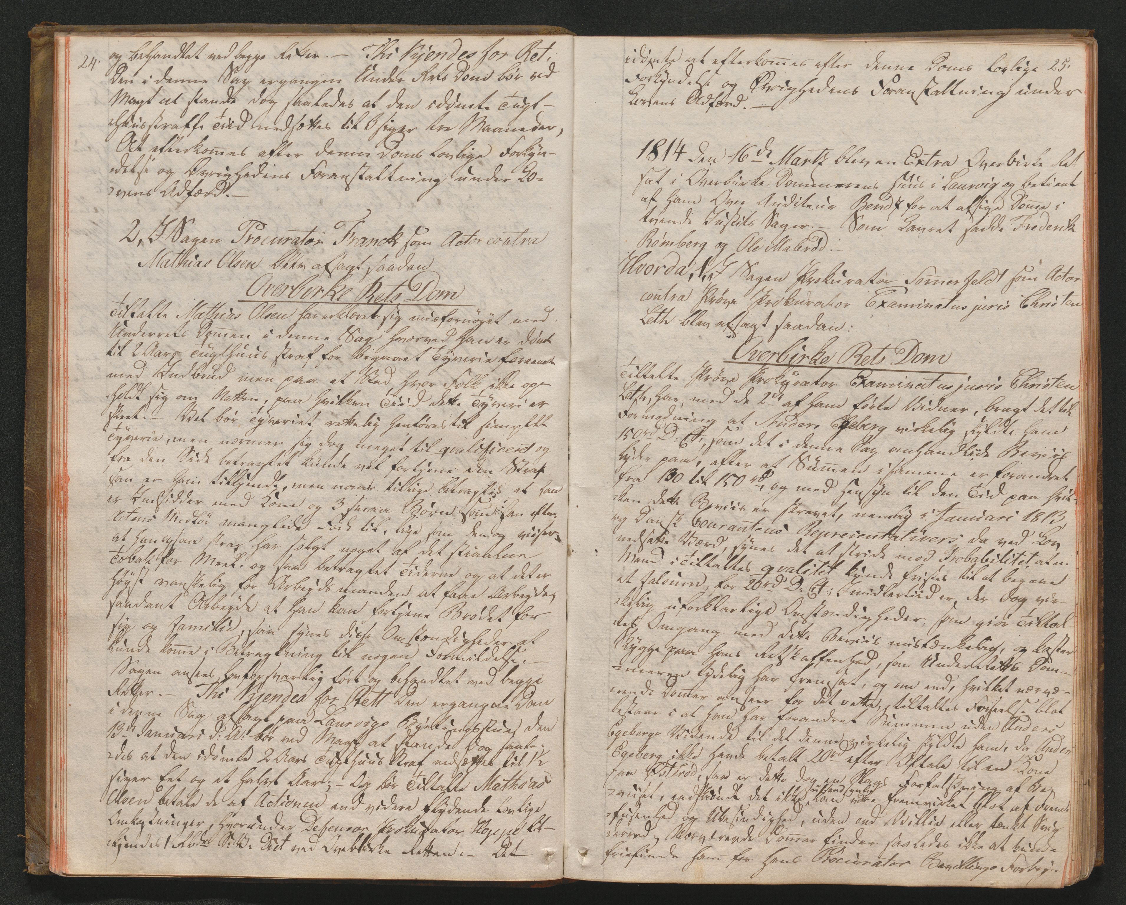 Larvik overbirkerett, AV/SAKO-A-802/F/Fa/L0009: Tingbok, 1813-1821, p. 24-25