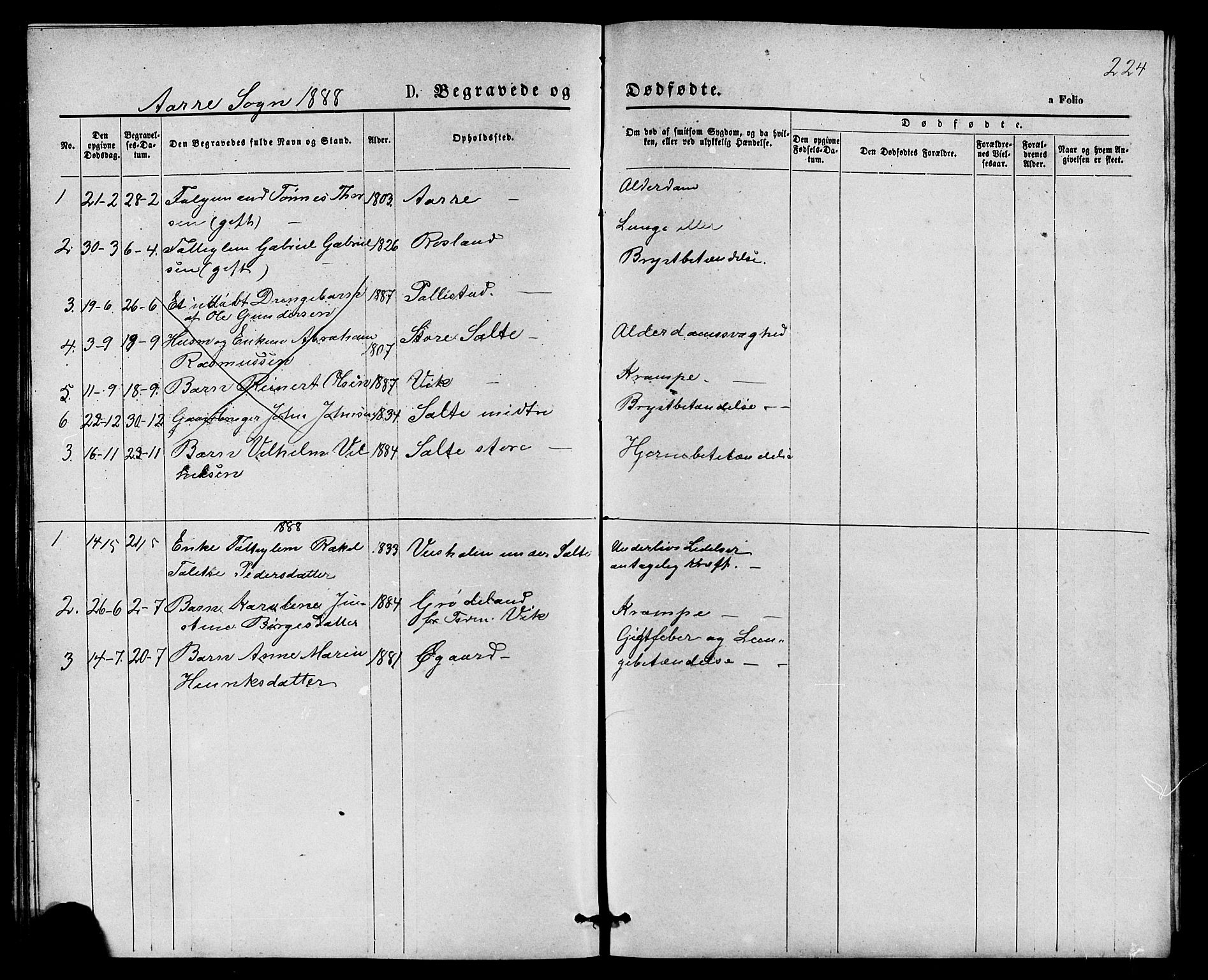 Klepp sokneprestkontor, SAST/A-101803/001/3/30BB/L0003: Parish register (copy) no. B 3, 1876-1888, p. 224