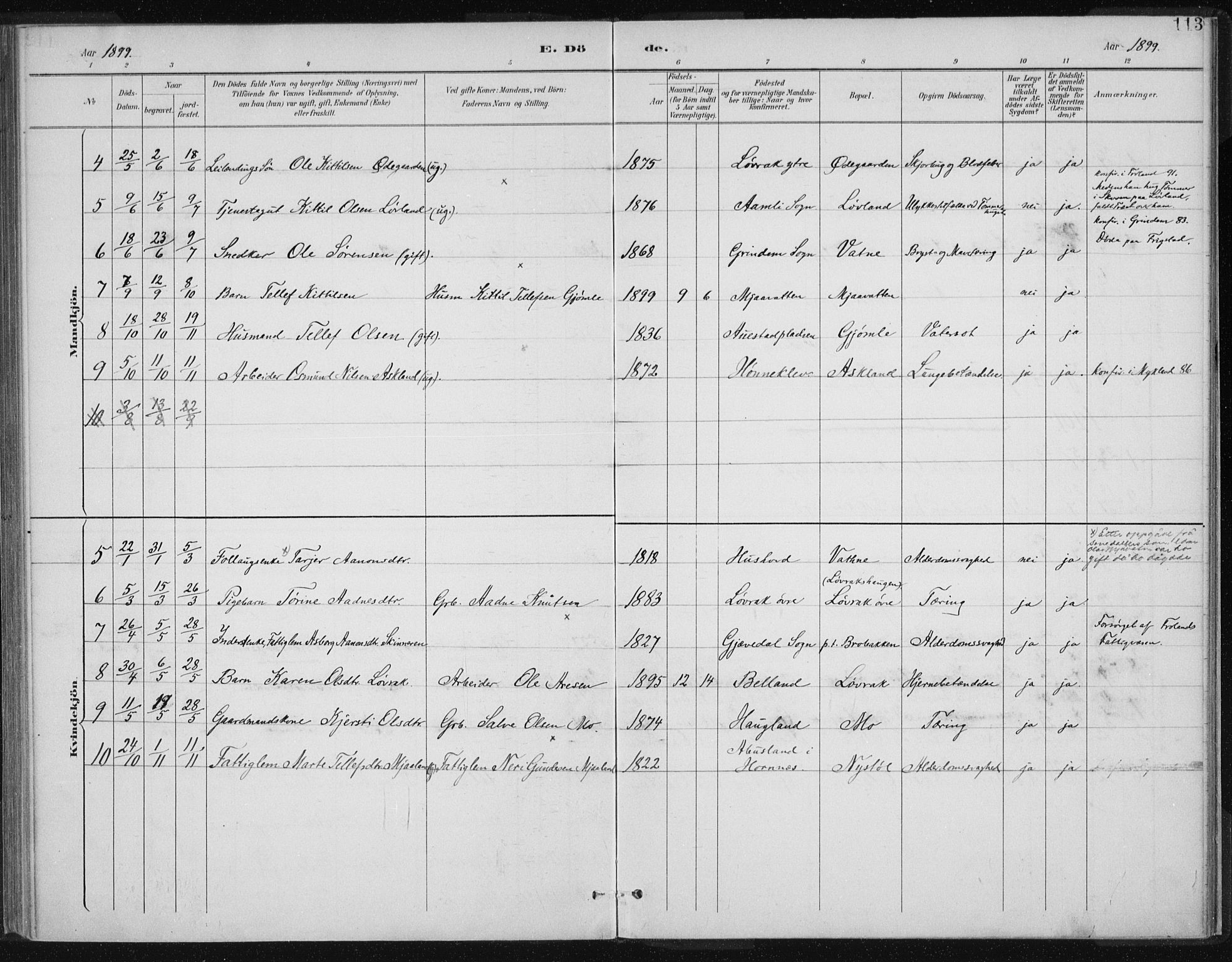 Herefoss sokneprestkontor, SAK/1111-0019/F/Fa/Fac/L0002: Parish register (official) no. A 2, 1887-1915, p. 113