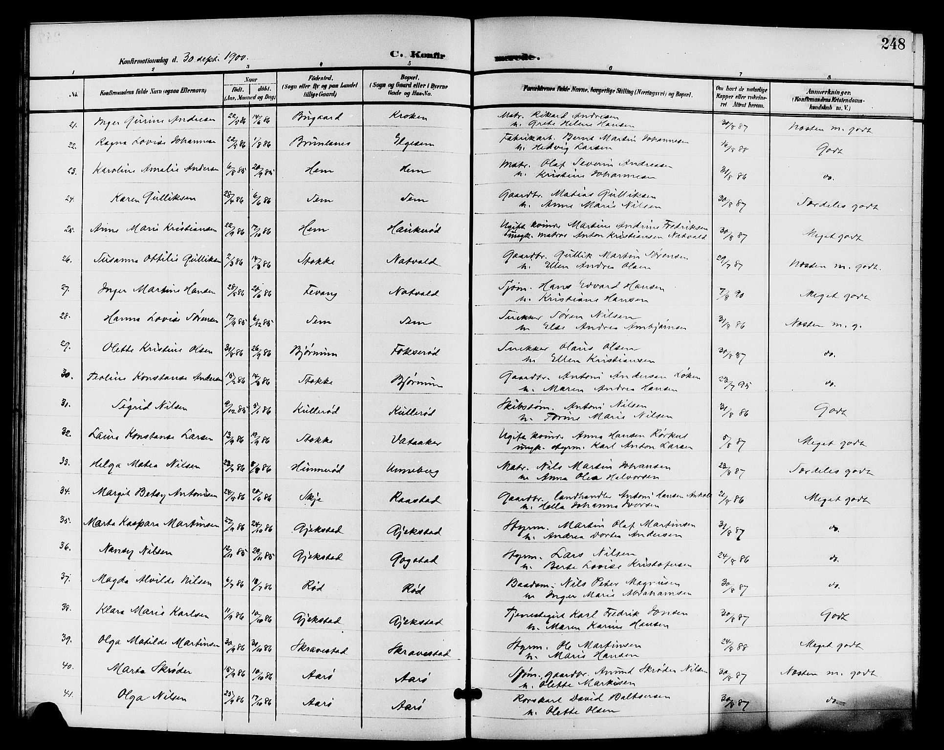 Sandar kirkebøker, AV/SAKO-A-243/G/Ga/L0002: Parish register (copy) no. 2, 1900-1915, p. 248