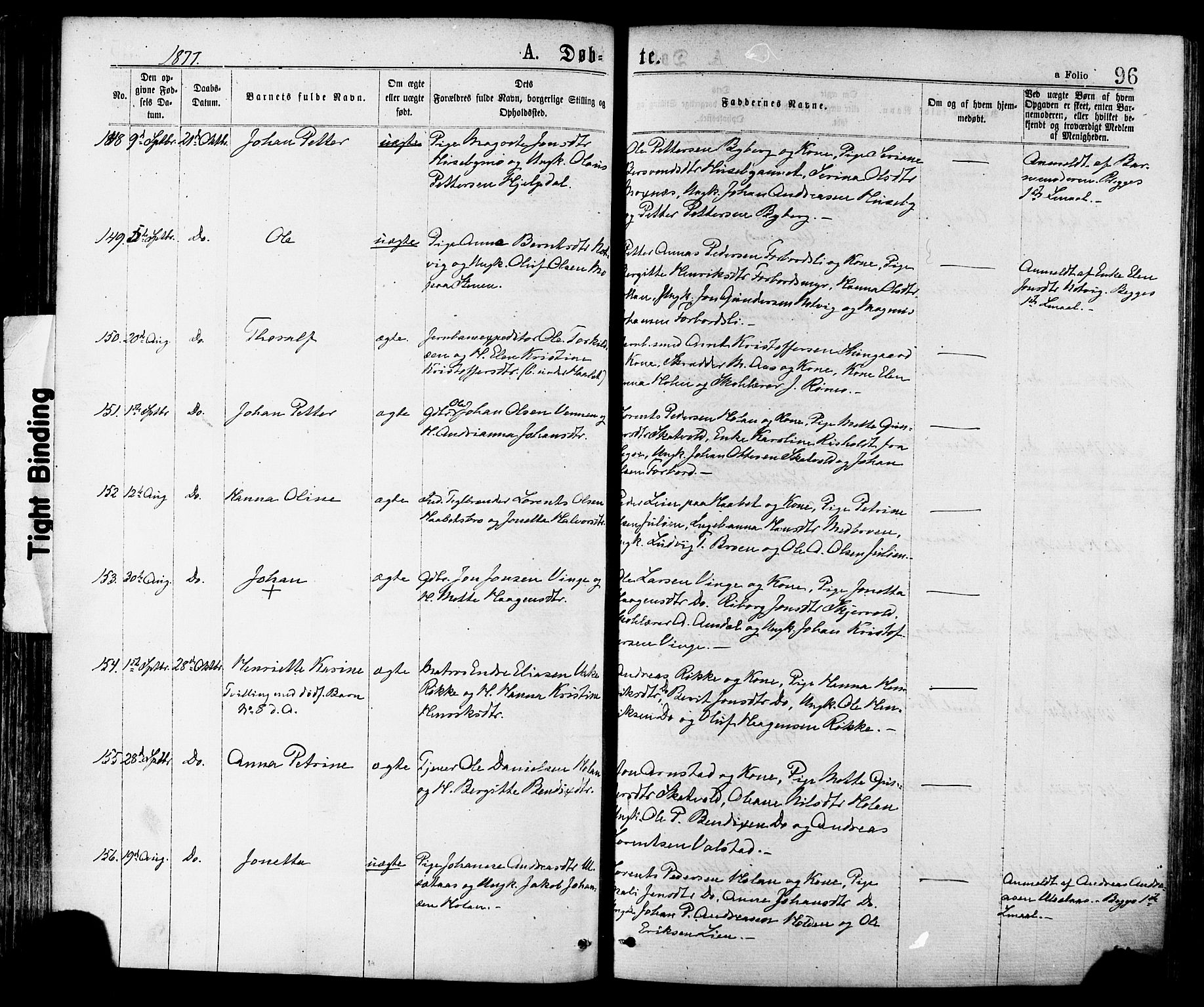 Ministerialprotokoller, klokkerbøker og fødselsregistre - Nord-Trøndelag, AV/SAT-A-1458/709/L0076: Parish register (official) no. 709A16, 1871-1879, p. 96