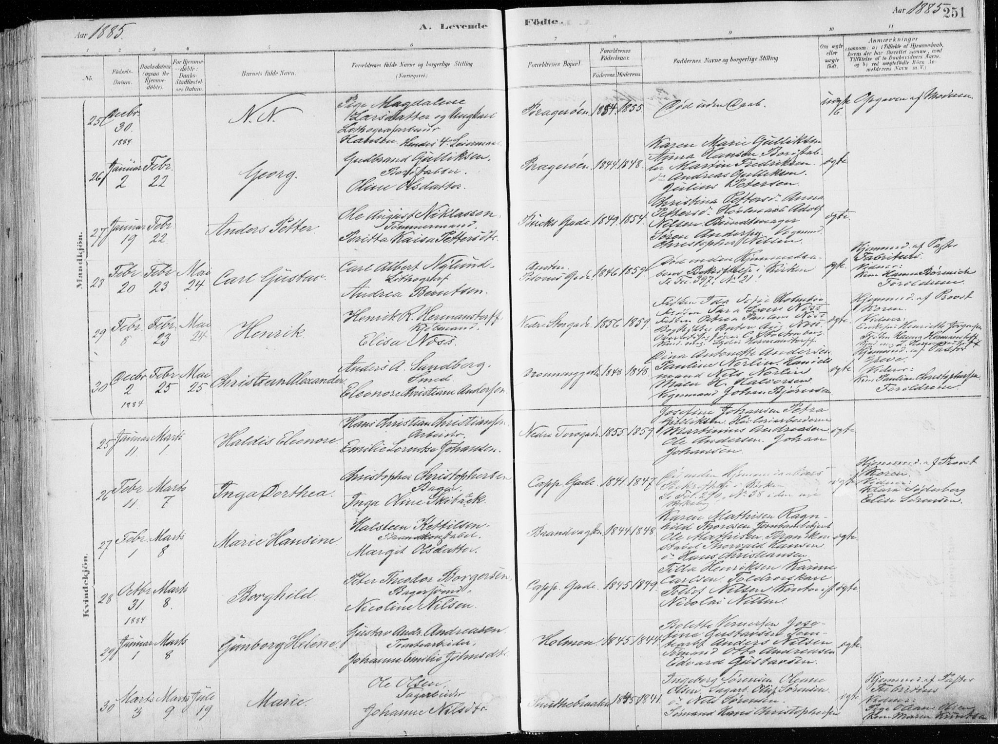 Bragernes kirkebøker, AV/SAKO-A-6/F/Fb/L0006a: Parish register (official) no. II 6A, 1878-1885, p. 251