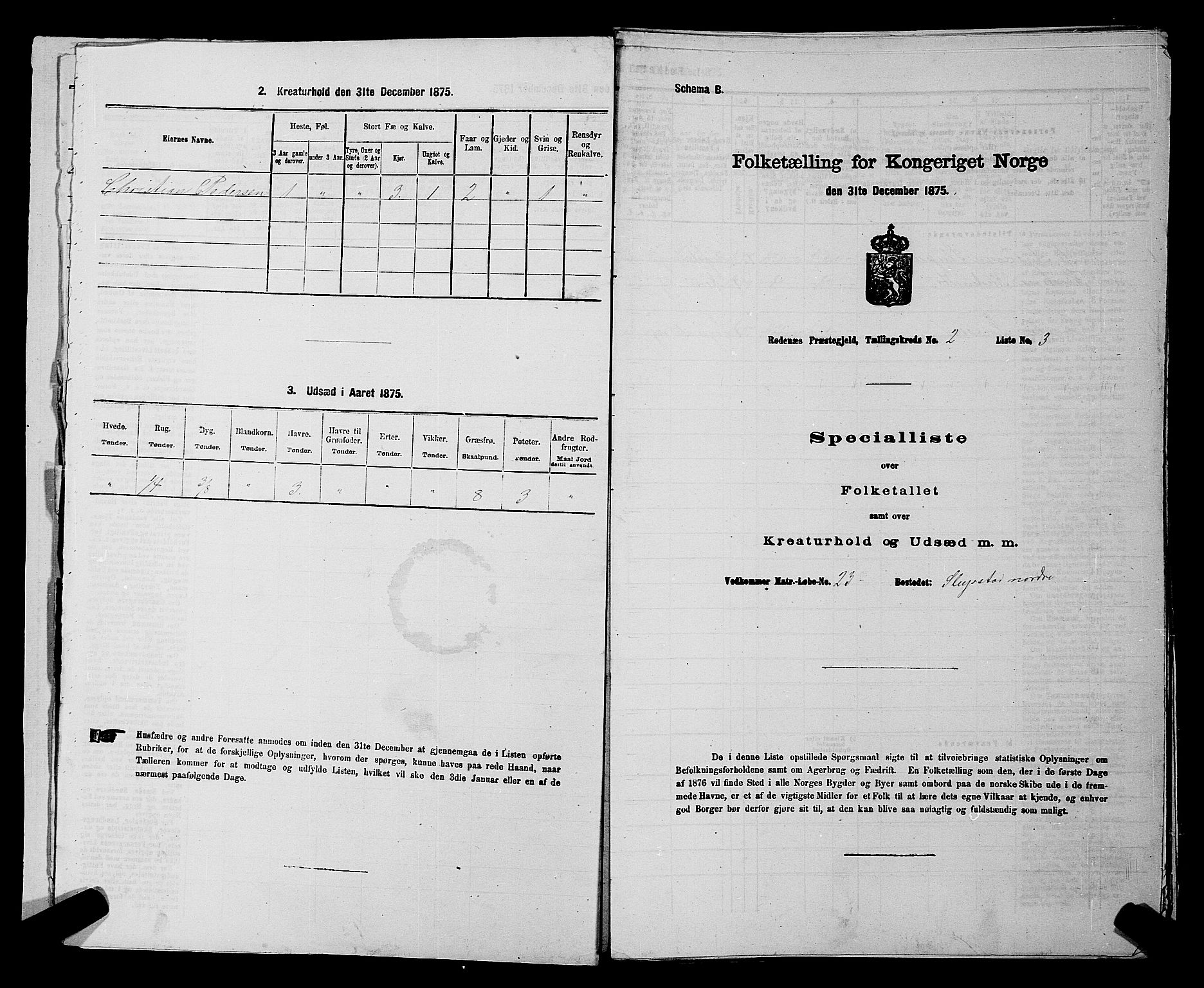 RA, 1875 census for 0120P Rødenes, 1875, p. 192