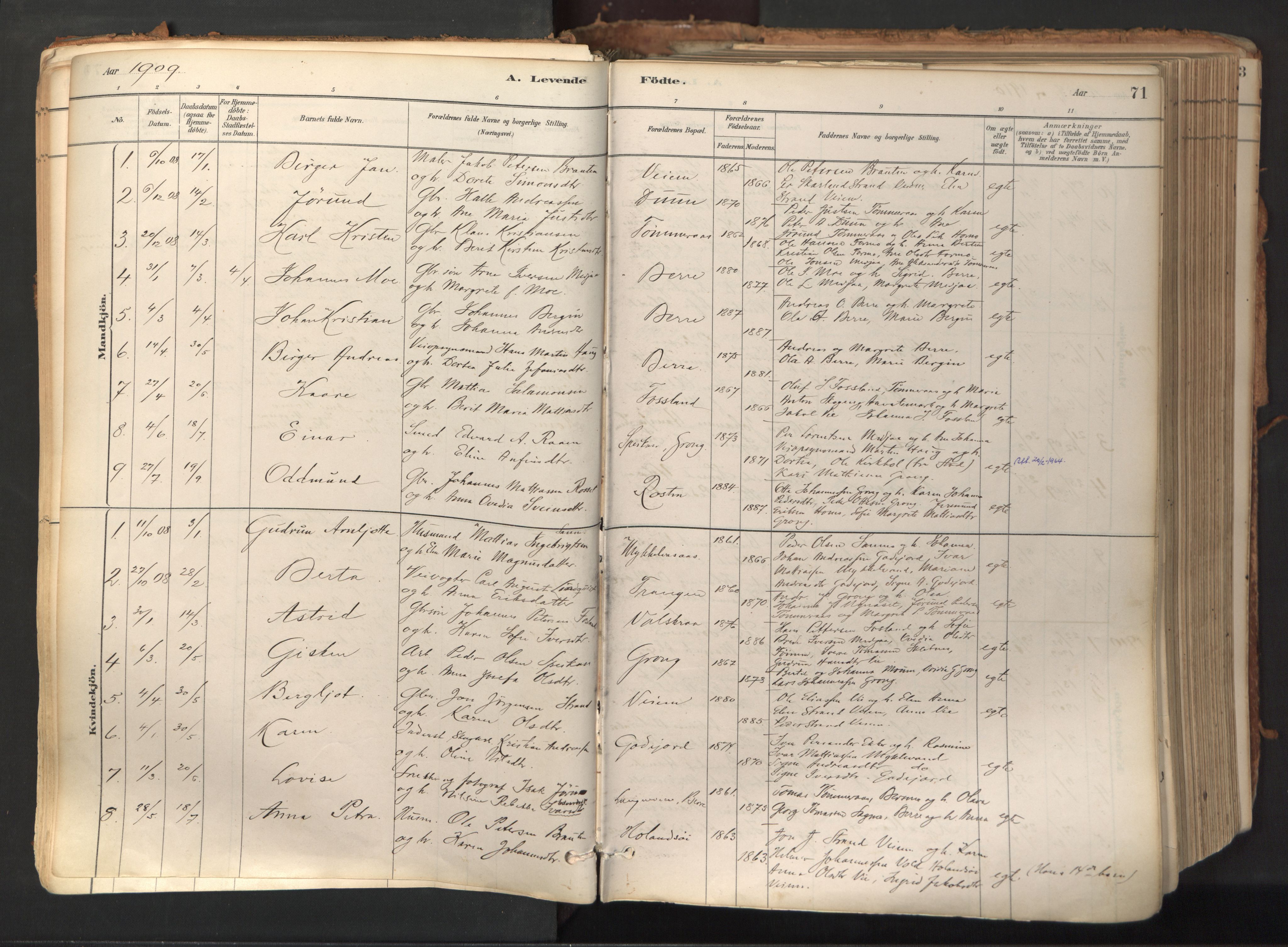 Ministerialprotokoller, klokkerbøker og fødselsregistre - Nord-Trøndelag, AV/SAT-A-1458/758/L0519: Parish register (official) no. 758A04, 1880-1926, p. 71