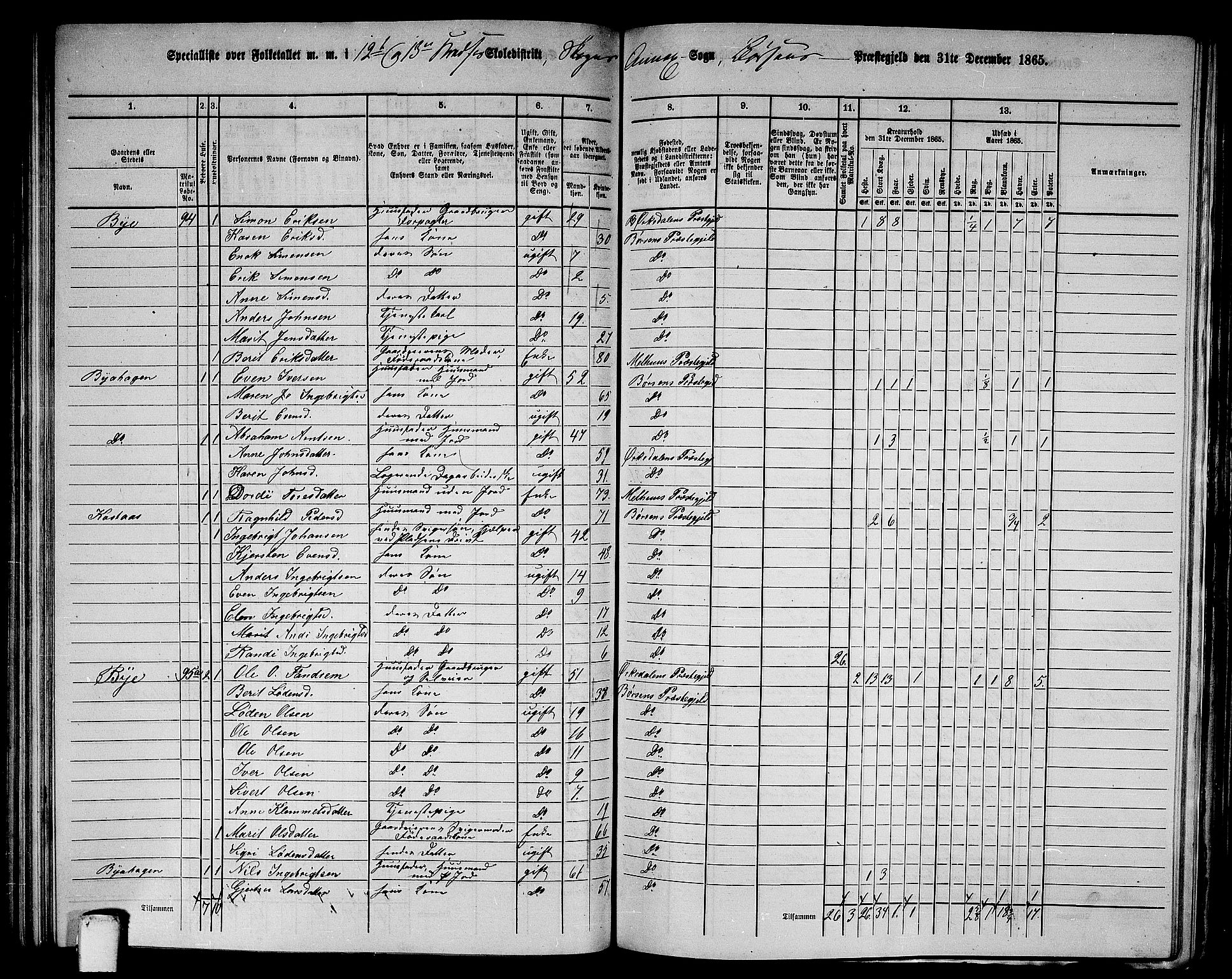 RA, 1865 census for Børsa, 1865, p. 147