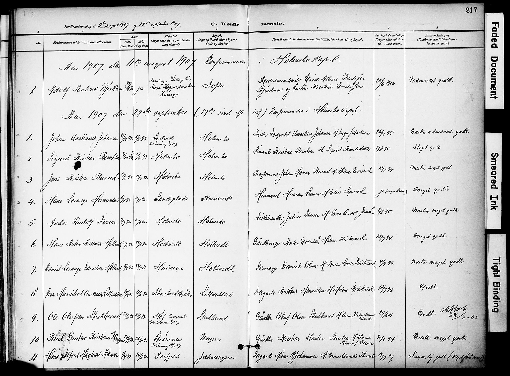 Hurum kirkebøker, AV/SAKO-A-229/F/Fa/L0015: Parish register (official) no. 15, 1896-1908, p. 217