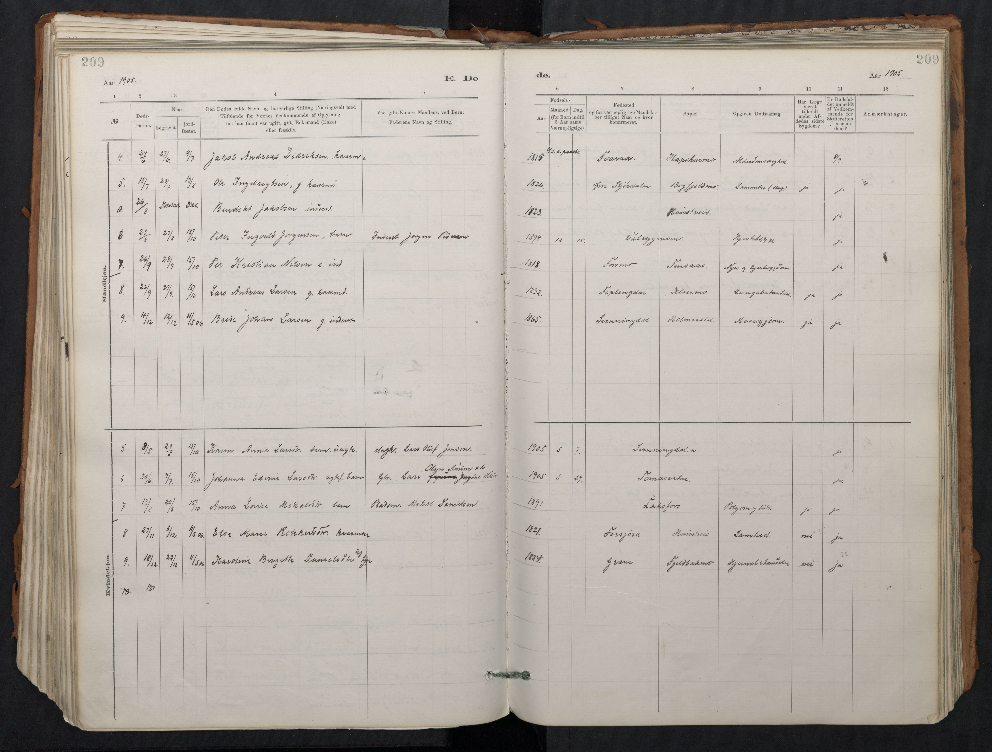 Ministerialprotokoller, klokkerbøker og fødselsregistre - Nordland, SAT/A-1459/824/L0338: Parish register (official) no. 824A01, 1880-1915, p. 209
