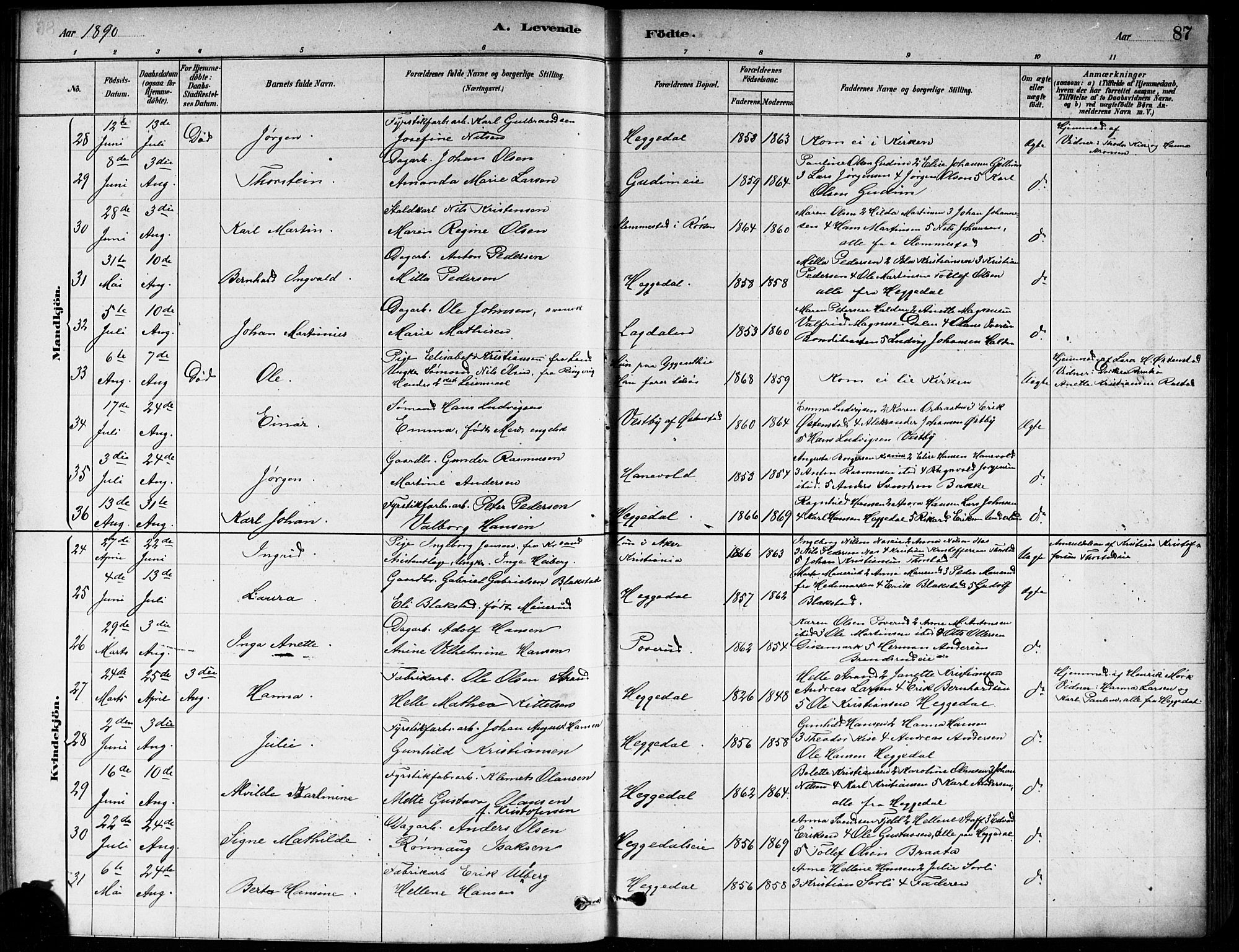 Asker prestekontor Kirkebøker, SAO/A-10256a/F/Fa/L0013: Parish register (official) no. I 13, 1879-1896, p. 87