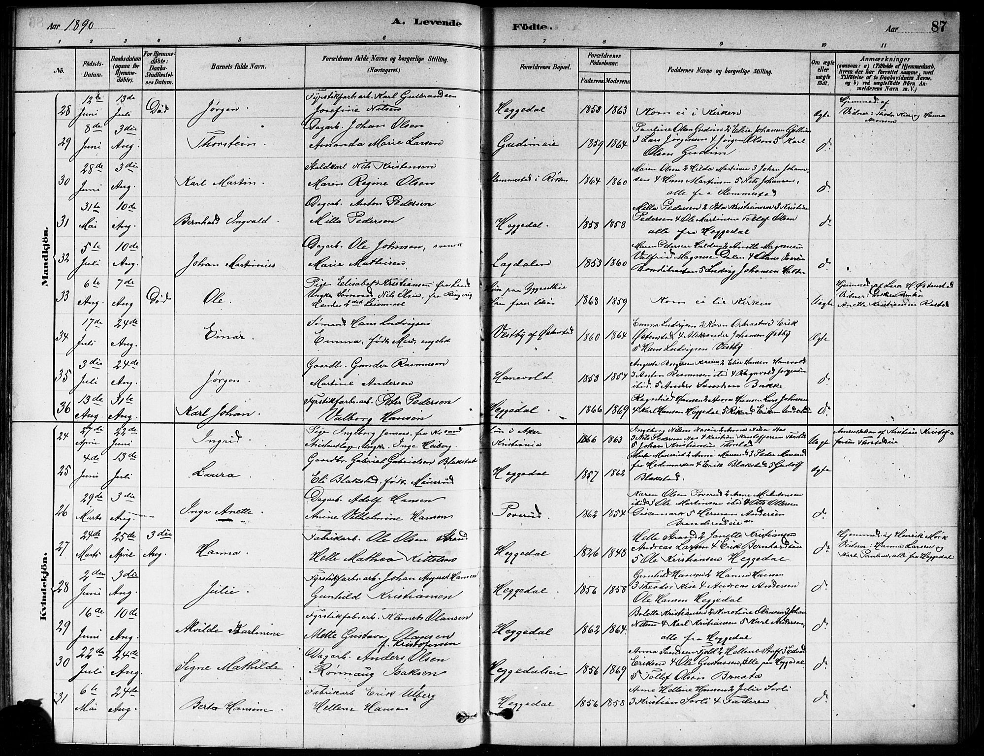 Asker prestekontor Kirkebøker, AV/SAO-A-10256a/F/Fa/L0013: Parish register (official) no. I 13, 1879-1896, p. 87