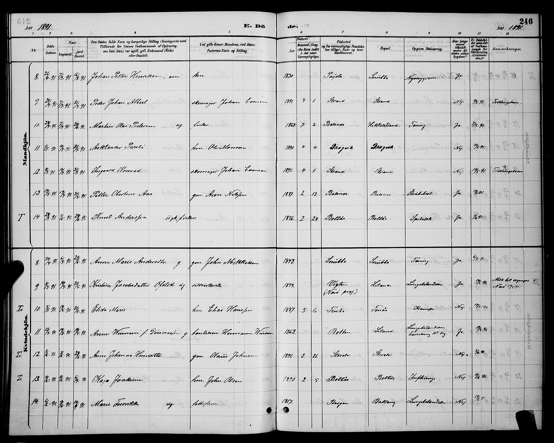 Ministerialprotokoller, klokkerbøker og fødselsregistre - Nordland, SAT/A-1459/863/L0914: Parish register (copy) no. 863C04, 1886-1897, p. 246