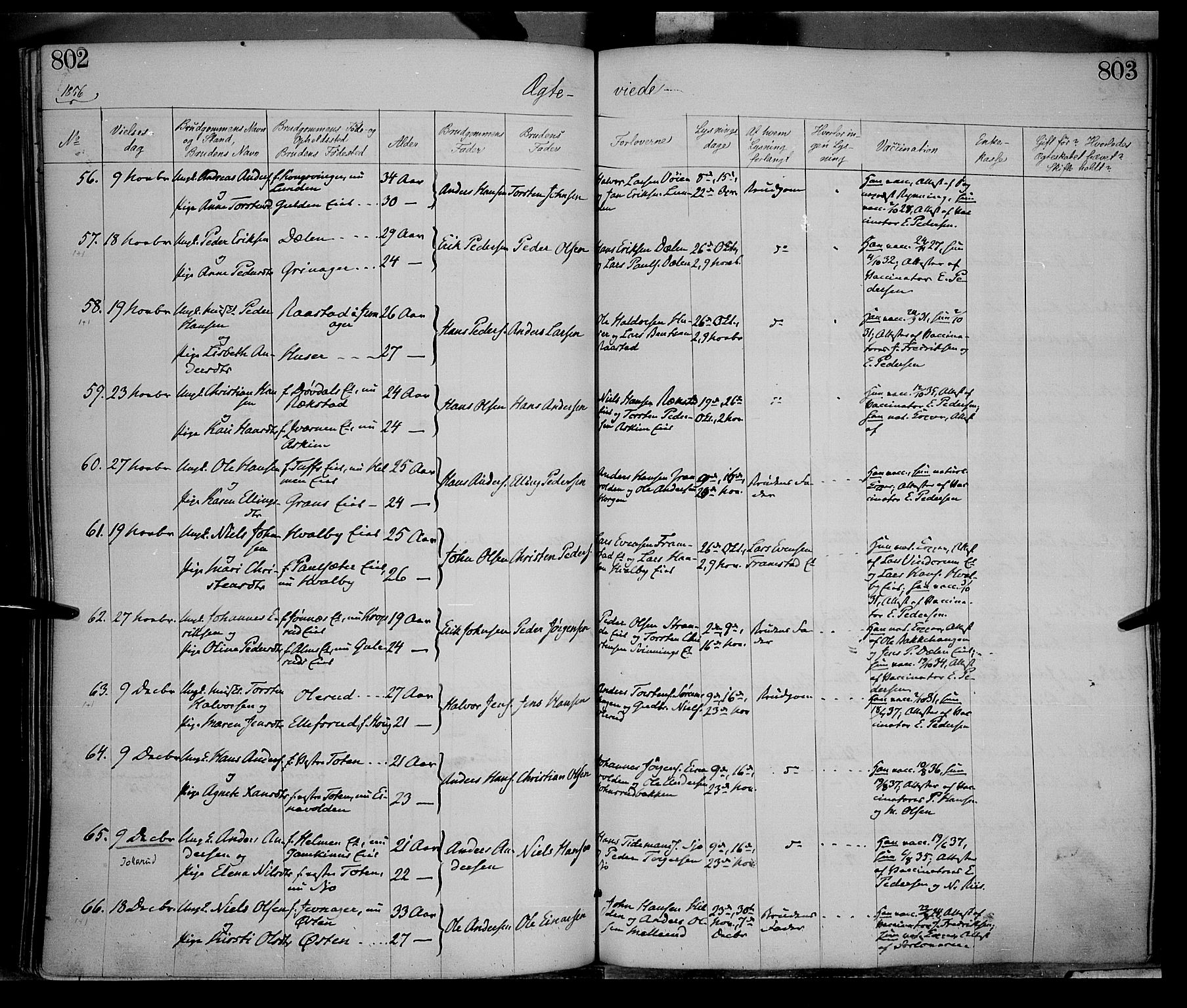 Gran prestekontor, SAH/PREST-112/H/Ha/Haa/L0012: Parish register (official) no. 12, 1856-1874, p. 802-803