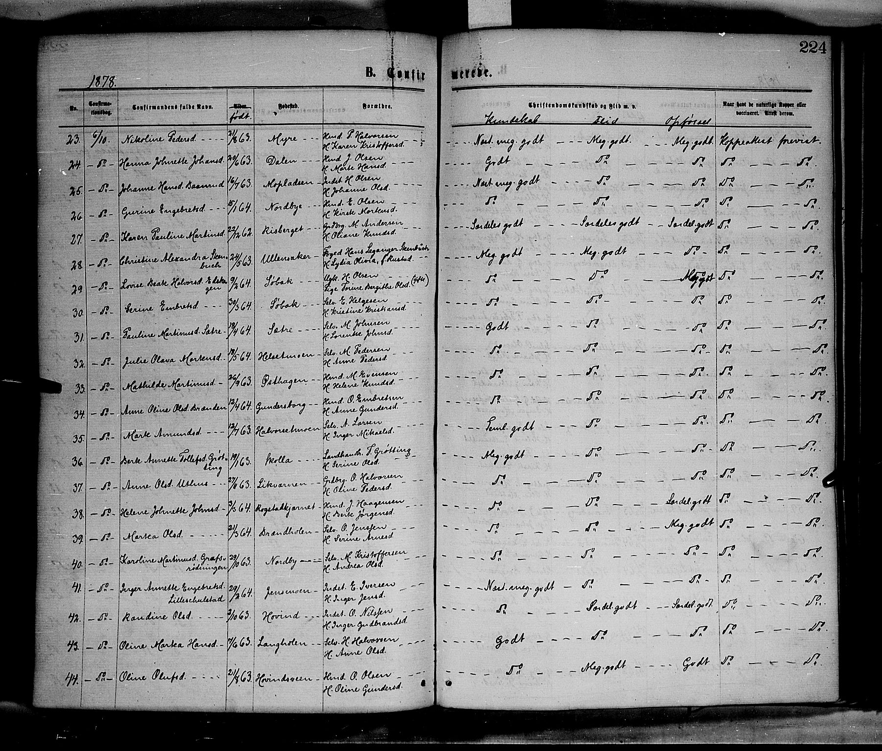 Elverum prestekontor, AV/SAH-PREST-044/H/Ha/Haa/L0011: Parish register (official) no. 11, 1869-1879, p. 224