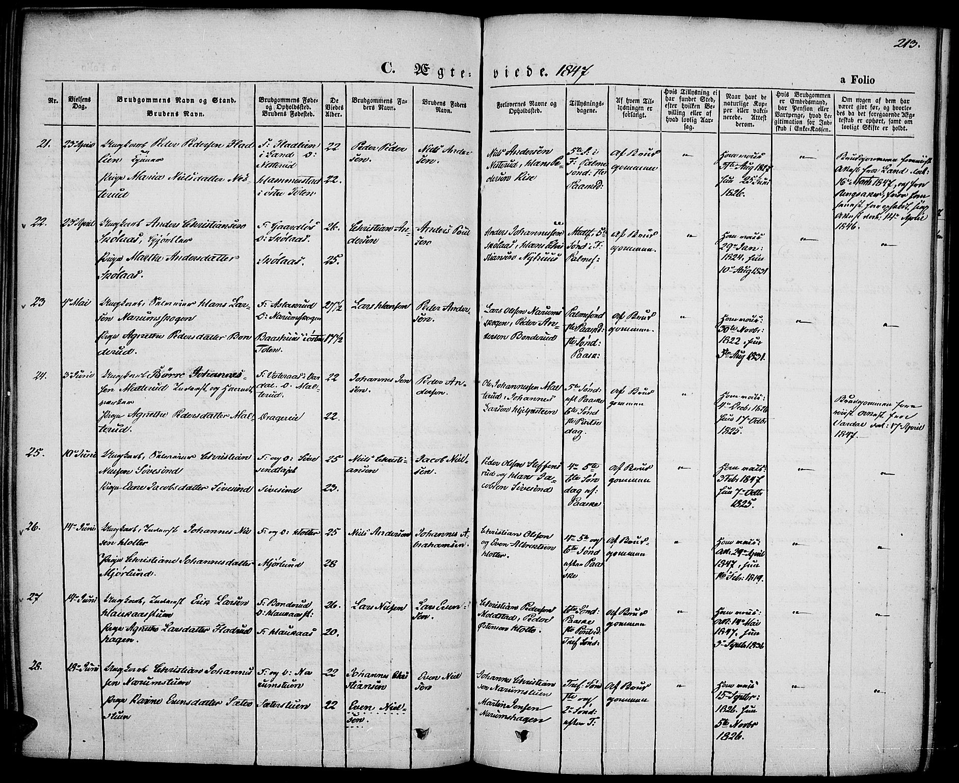 Vestre Toten prestekontor, AV/SAH-PREST-108/H/Ha/Haa/L0004: Parish register (official) no. 4, 1844-1849, p. 213