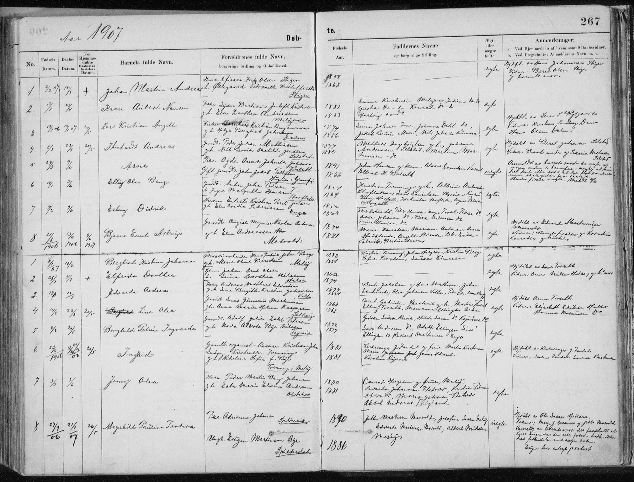 Ministerialprotokoller, klokkerbøker og fødselsregistre - Nordland, SAT/A-1459/843/L0636: Parish register (copy) no. 843C05, 1884-1909, p. 267