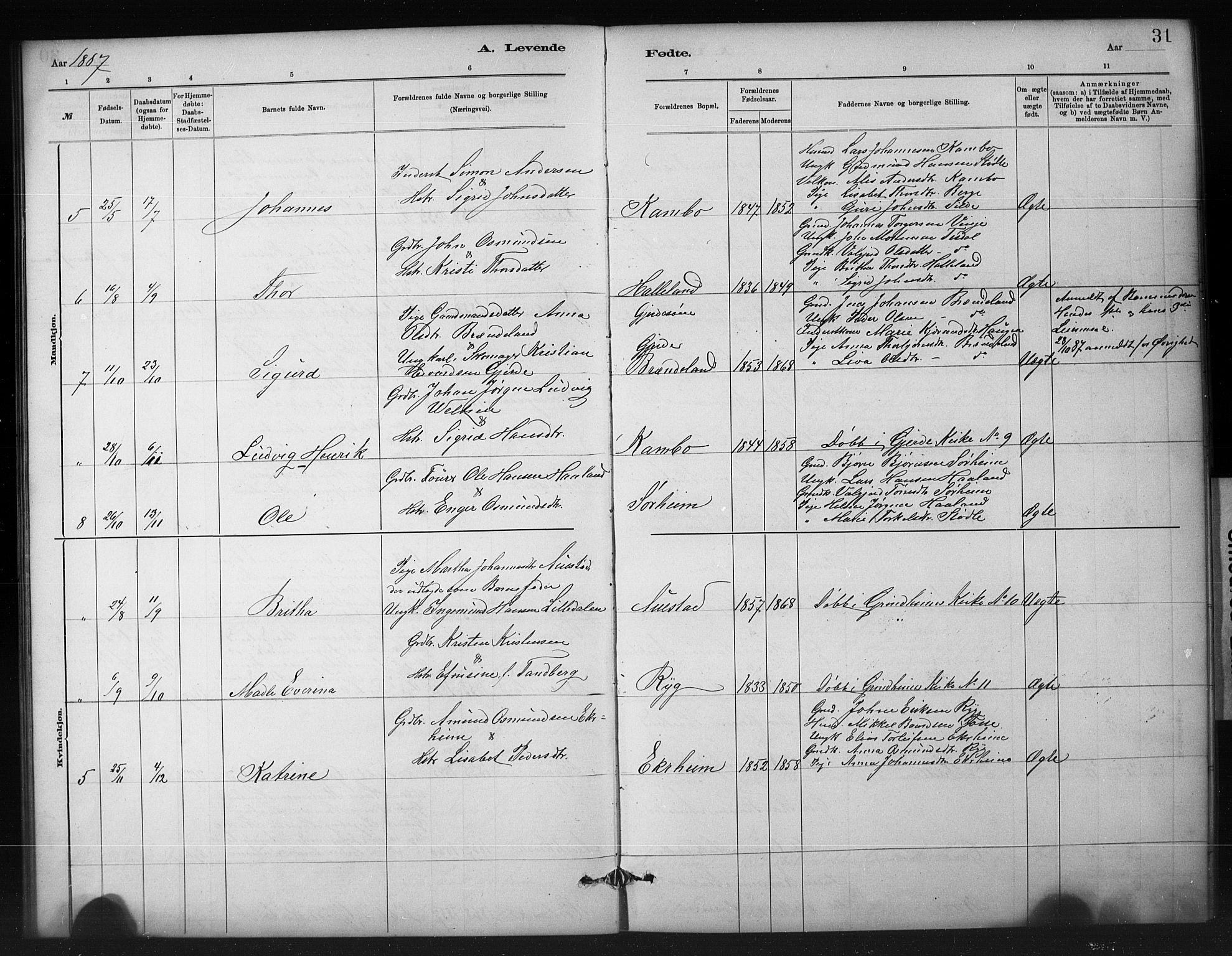Etne sokneprestembete, SAB/A-75001/H/Hab: Parish register (copy) no. A 5, 1879-1896, p. 31