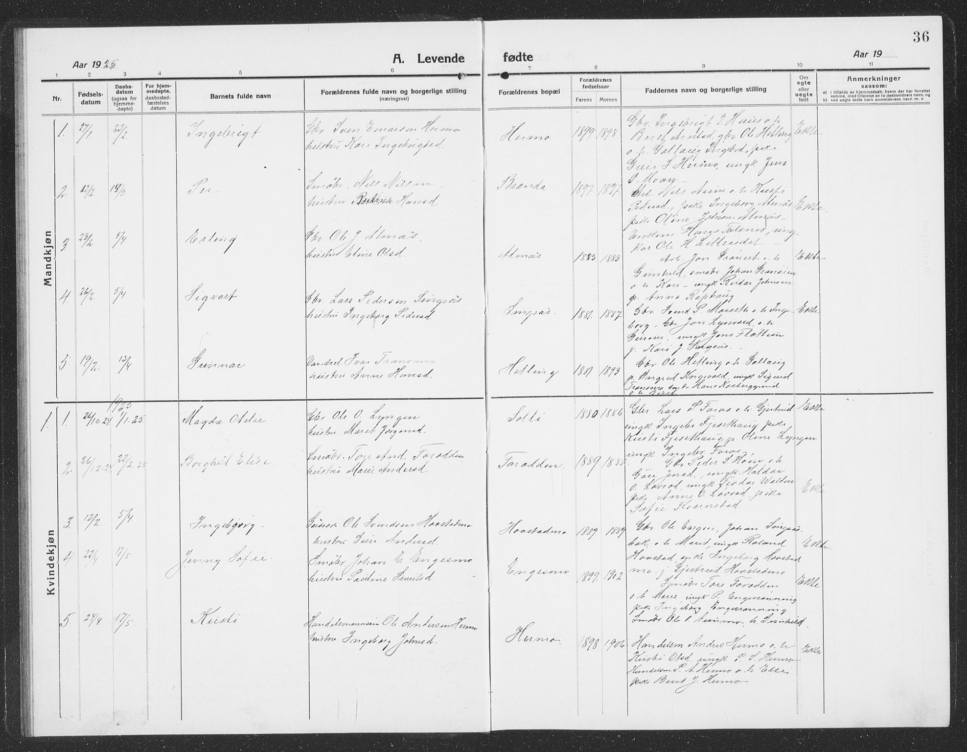 Ministerialprotokoller, klokkerbøker og fødselsregistre - Sør-Trøndelag, SAT/A-1456/688/L1030: Parish register (copy) no. 688C05, 1916-1939, p. 36