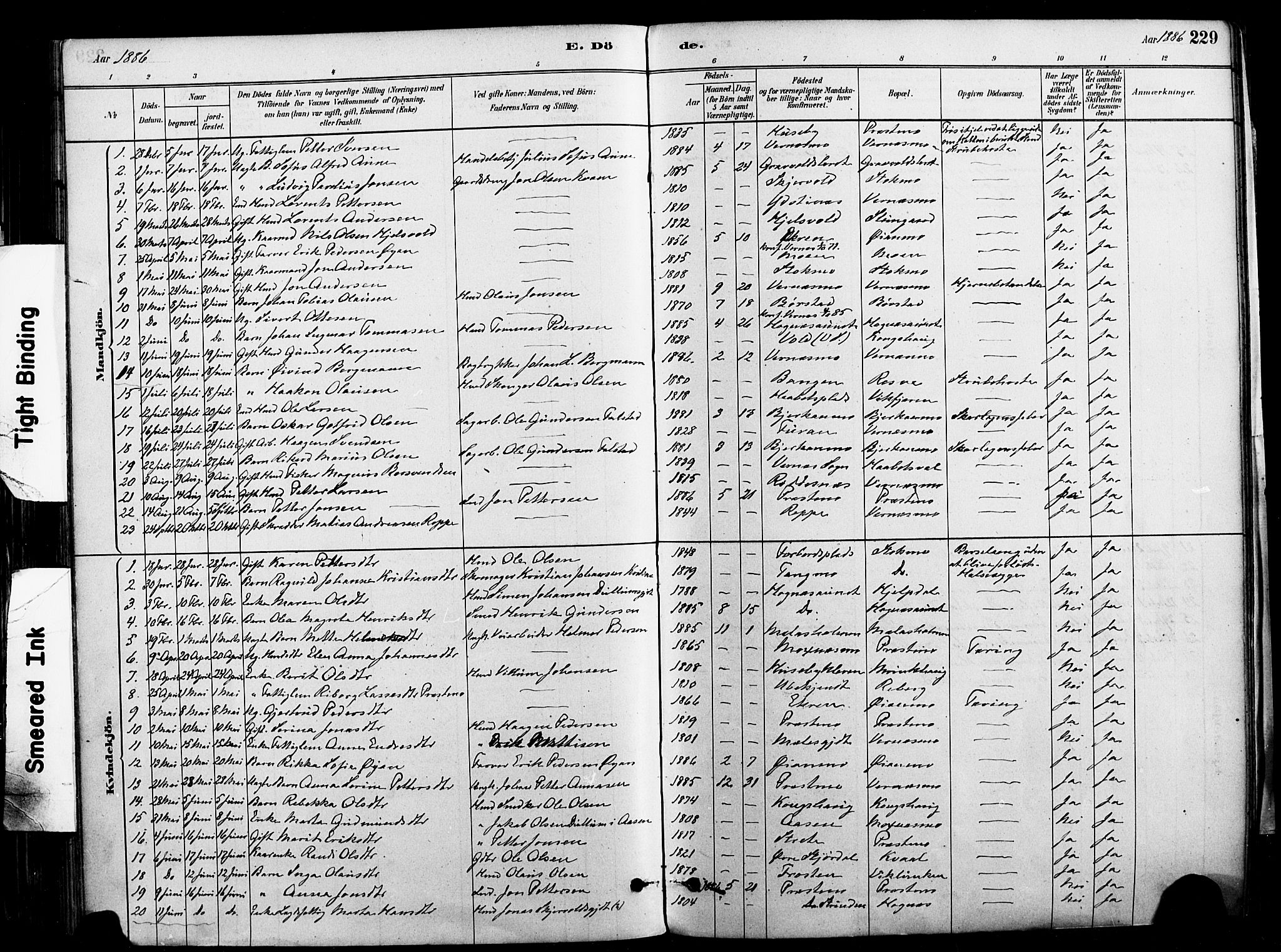 Ministerialprotokoller, klokkerbøker og fødselsregistre - Nord-Trøndelag, SAT/A-1458/709/L0077: Parish register (official) no. 709A17, 1880-1895, p. 229