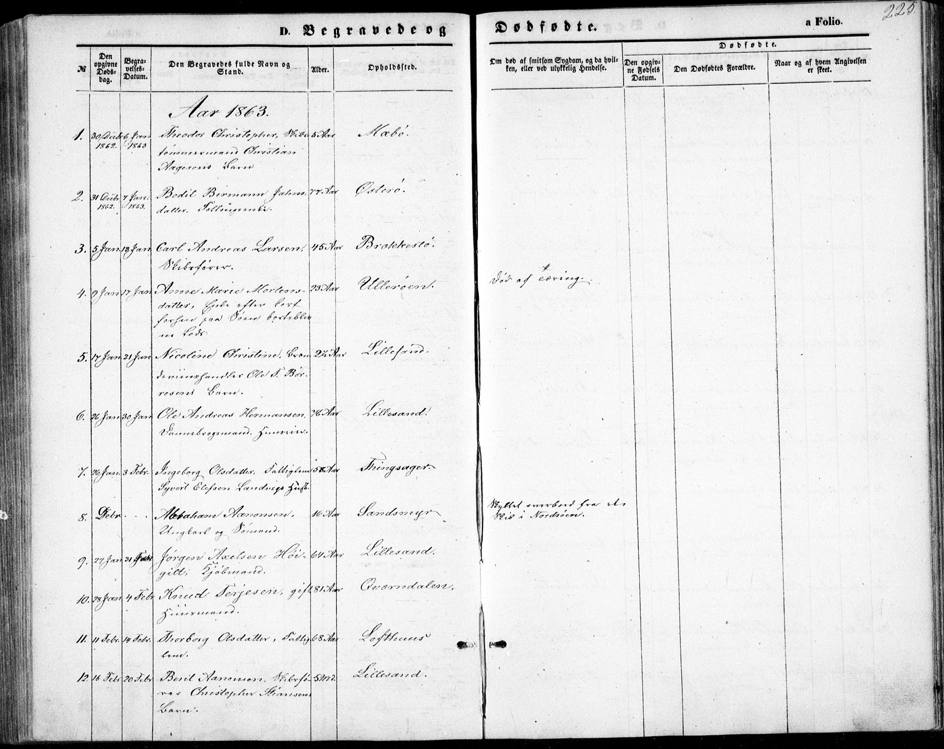 Vestre Moland sokneprestkontor, SAK/1111-0046/F/Fb/Fbb/L0004: Parish register (copy) no. B 4, 1861-1872, p. 225