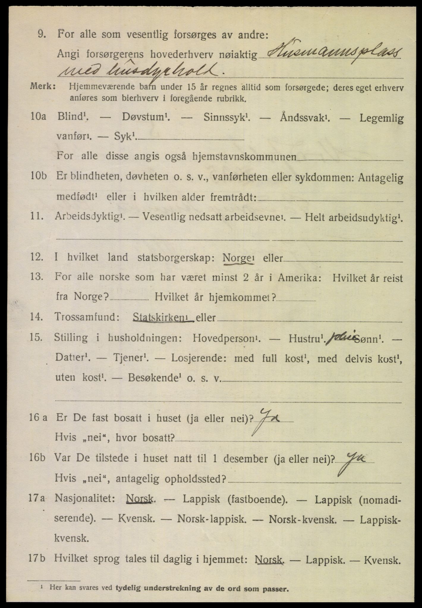 SAT, 1920 census for Nordfold, 1920, p. 2990