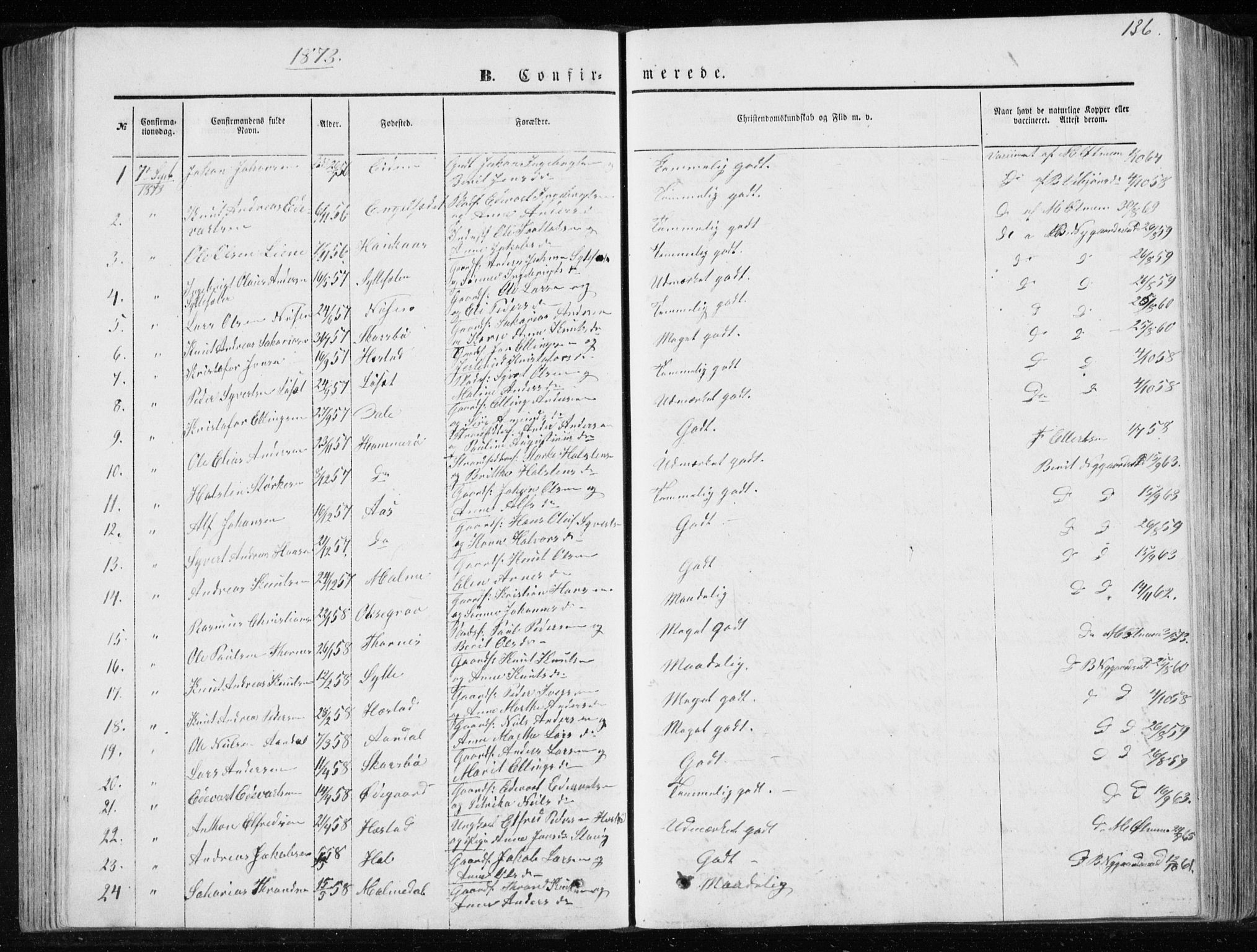 Ministerialprotokoller, klokkerbøker og fødselsregistre - Møre og Romsdal, SAT/A-1454/565/L0754: Parish register (copy) no. 565C03, 1870-1896, p. 136