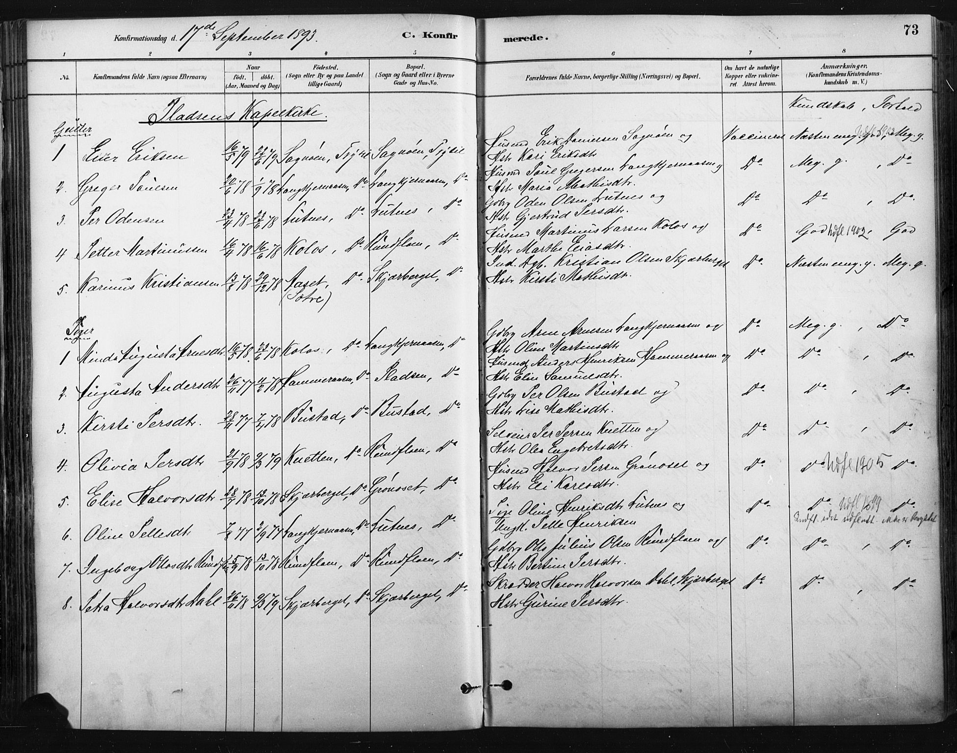 Trysil prestekontor, SAH/PREST-046/H/Ha/Haa/L0009: Parish register (official) no. 9, 1881-1897, p. 73