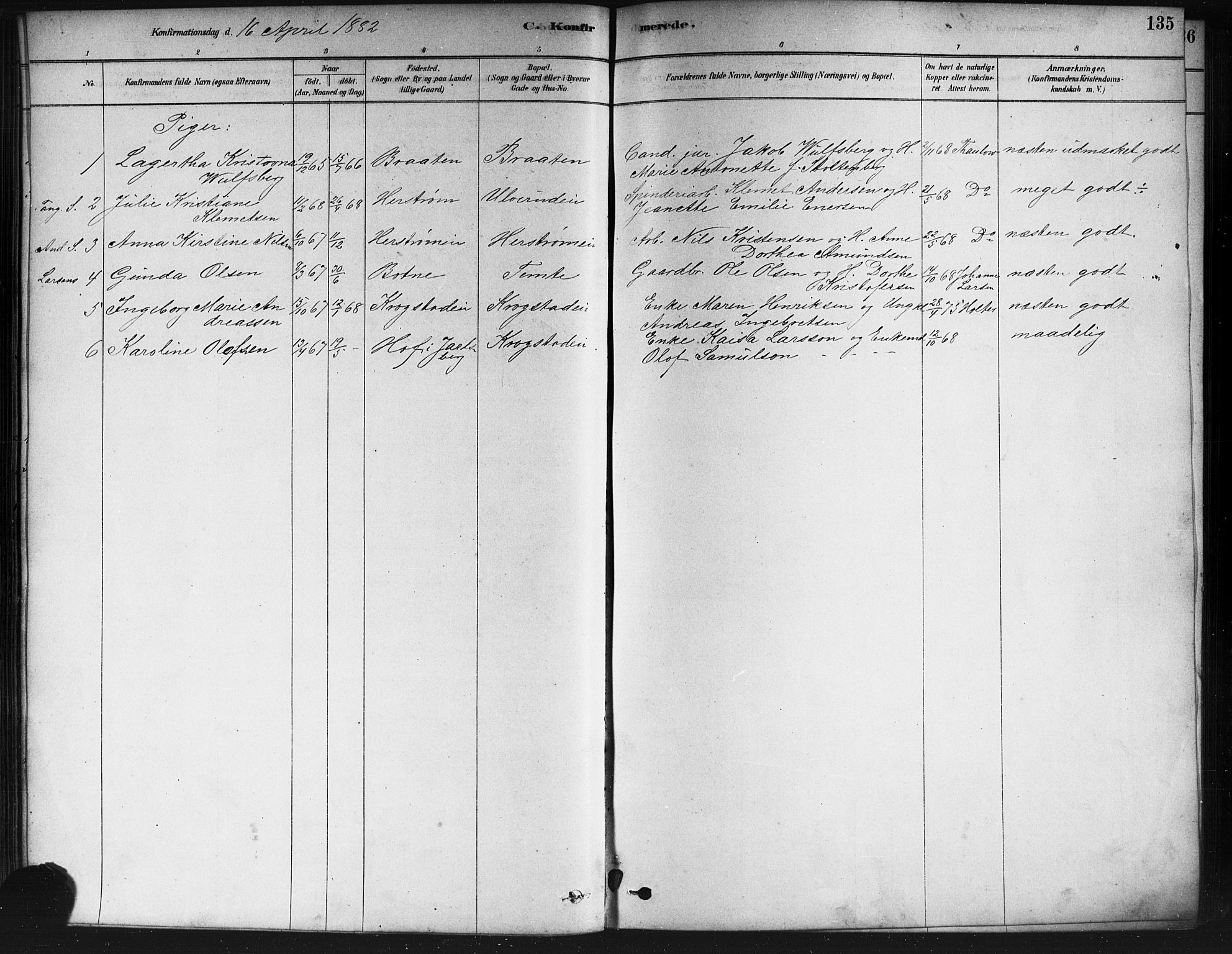 Nedre Eiker kirkebøker, SAKO/A-612/F/Fa/L0002: Parish register (official) no. 2, 1878-1885, p. 135