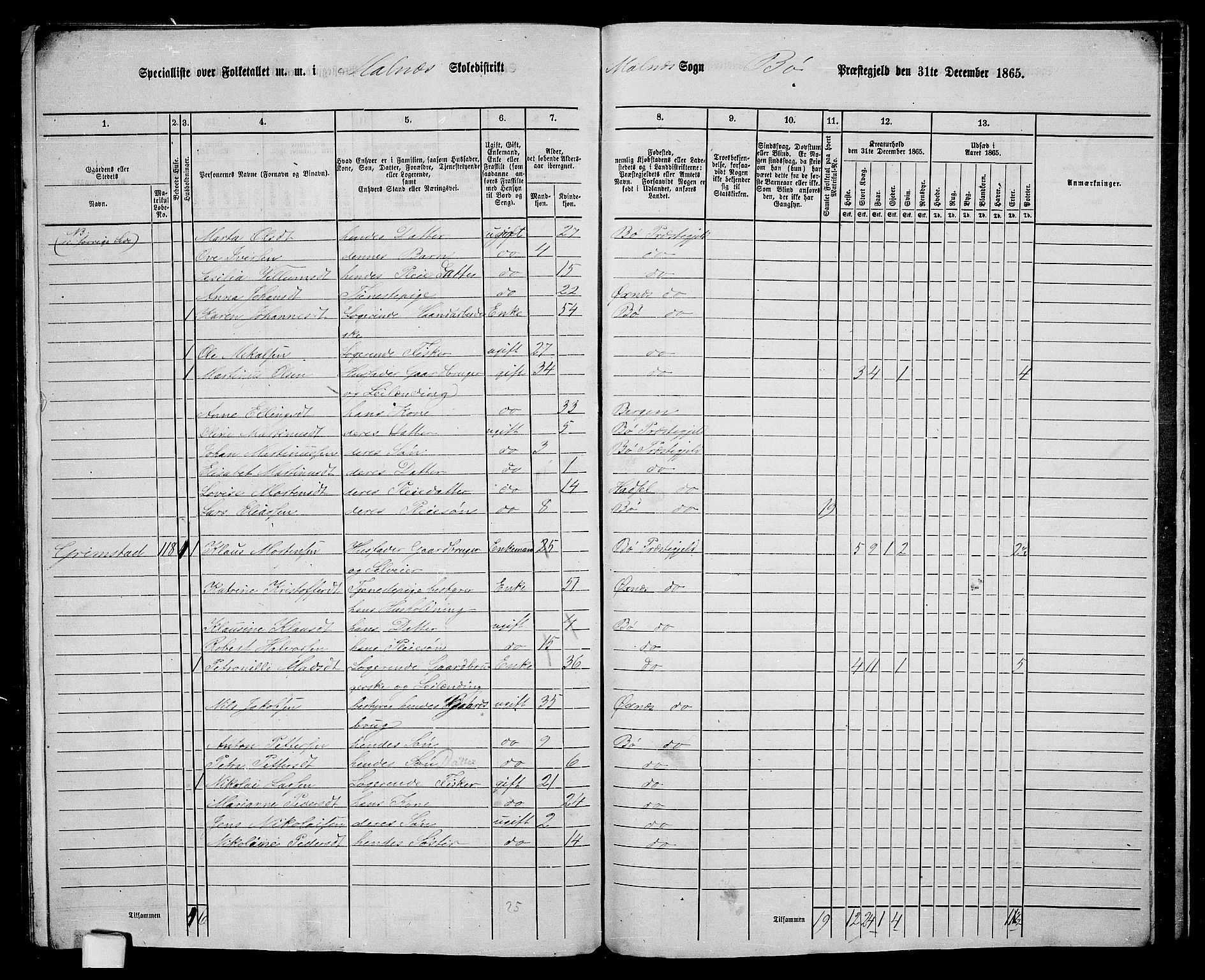 RA, 1865 census for Bø, 1865, p. 71