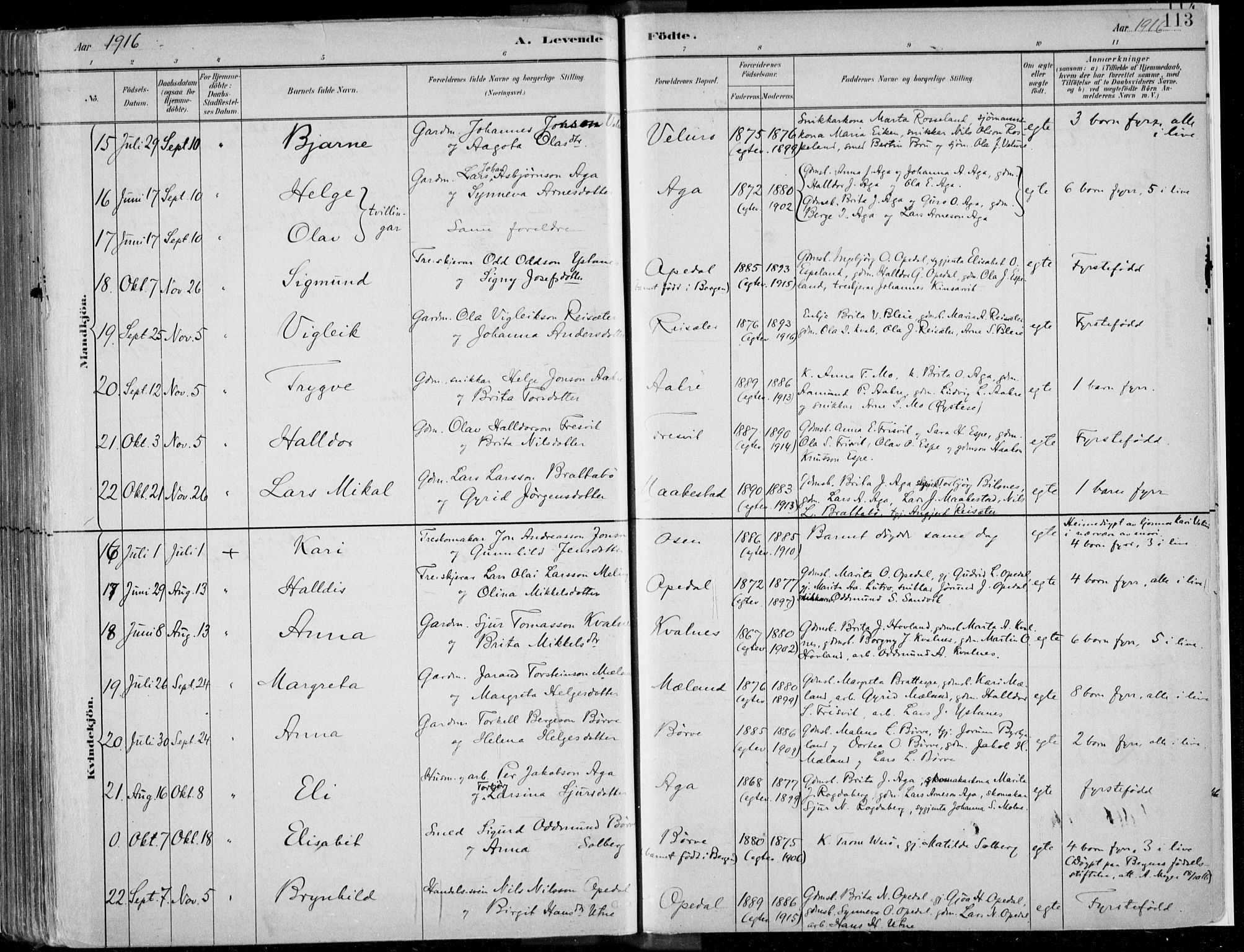 Ullensvang sokneprestembete, AV/SAB-A-78701/H/Haa: Parish register (official) no. B  1, 1882-1918, p. 113