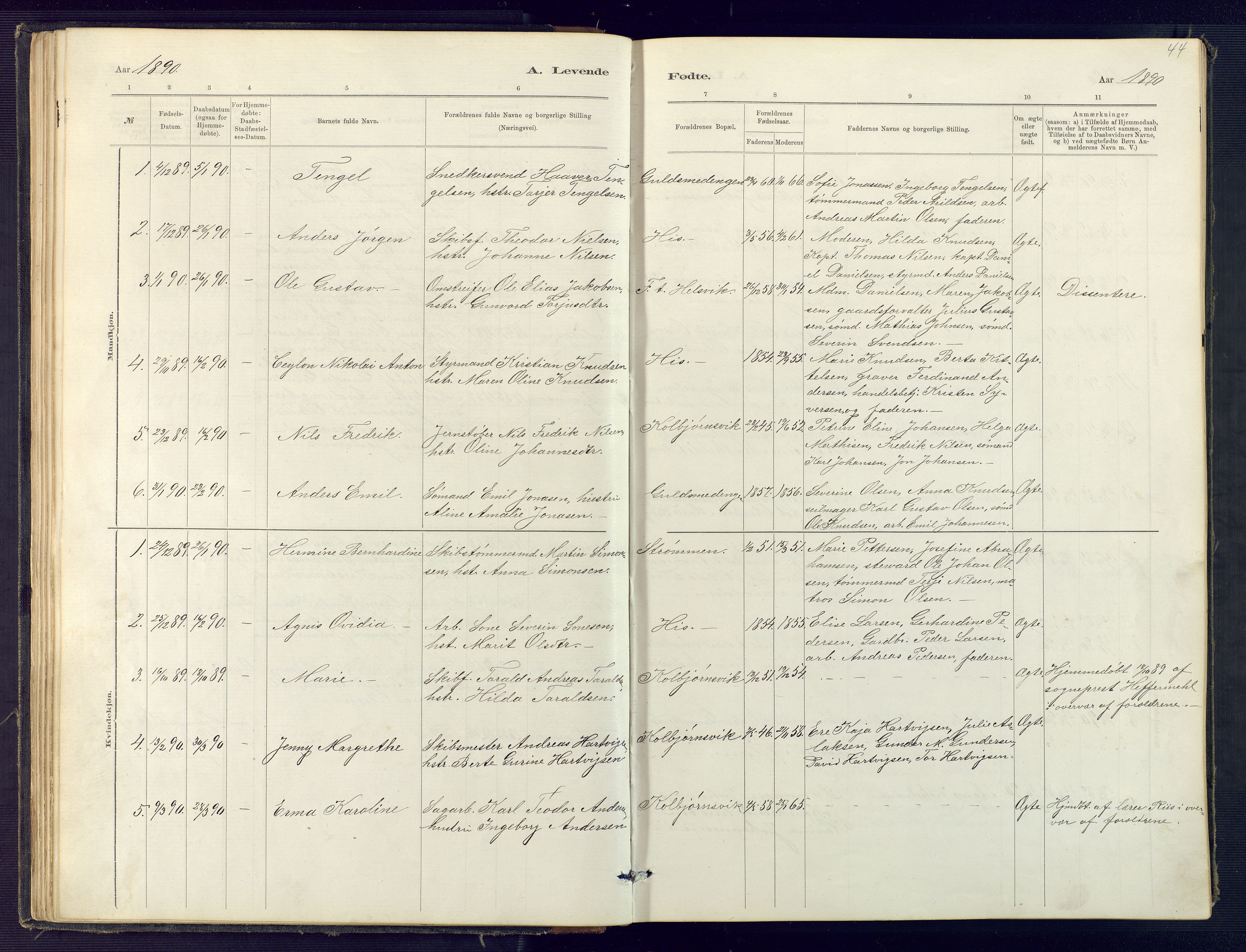 Hisøy sokneprestkontor, AV/SAK-1111-0020/F/Fb/L0003: Parish register (copy) no. B 3, 1885-1905, p. 44