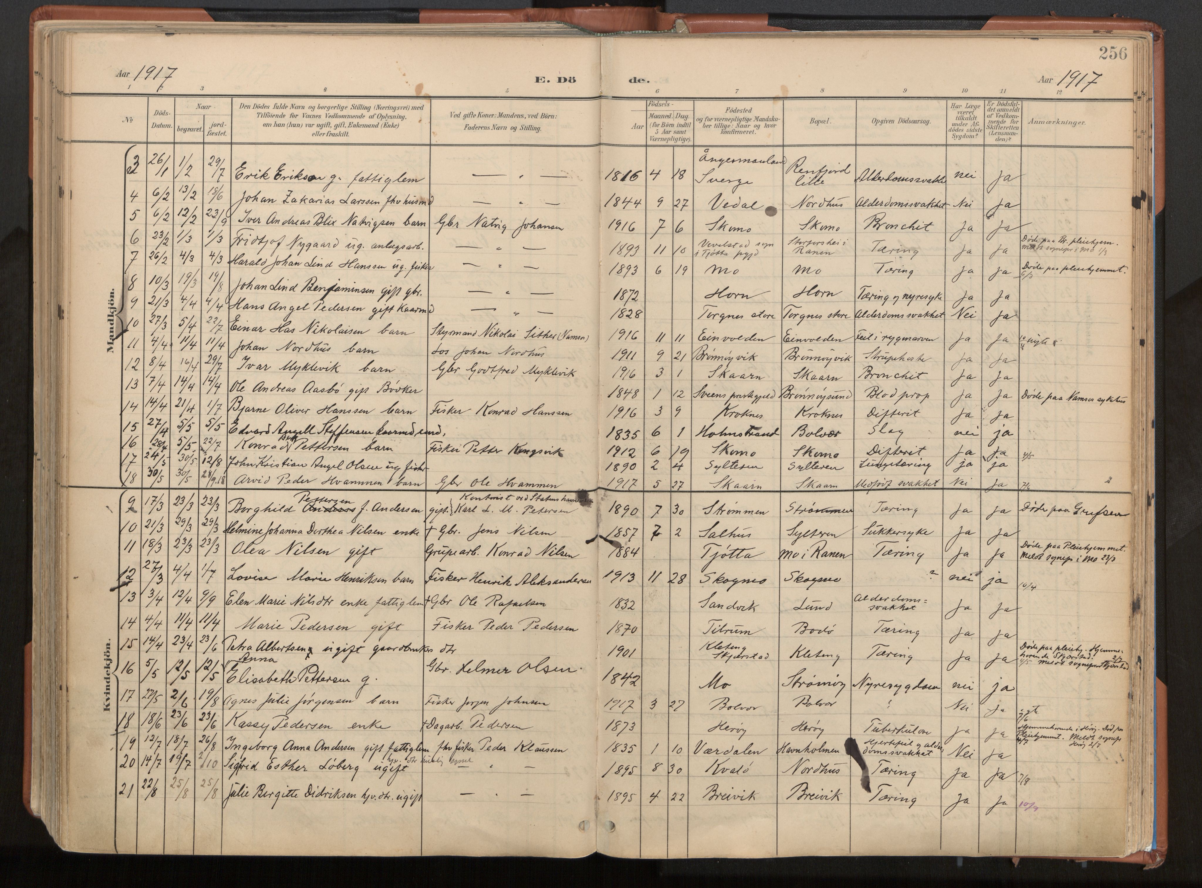 Ministerialprotokoller, klokkerbøker og fødselsregistre - Nordland, SAT/A-1459/813/L0201: Parish register (official) no. 813A11, 1901-1918, p. 256