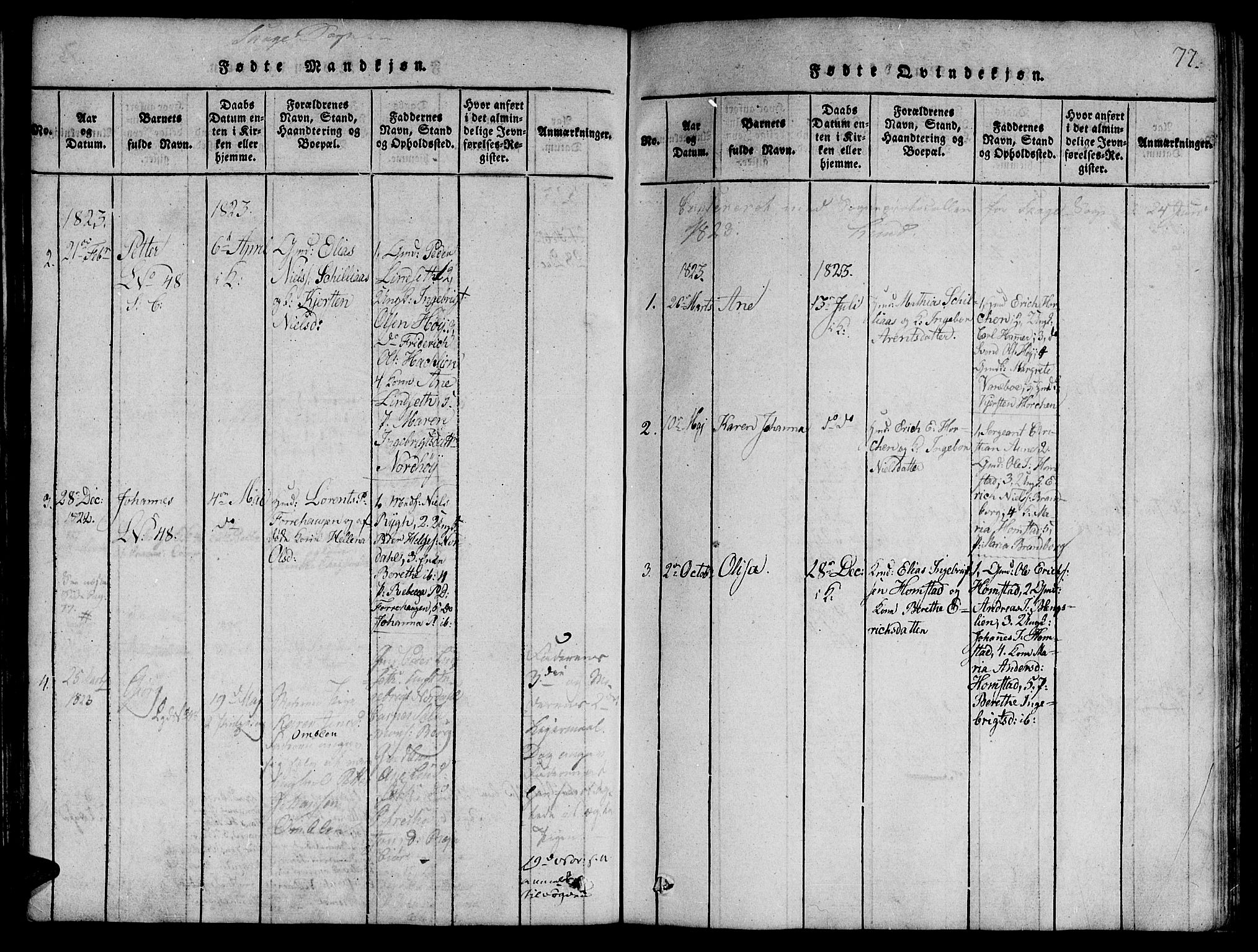 Ministerialprotokoller, klokkerbøker og fødselsregistre - Nord-Trøndelag, AV/SAT-A-1458/764/L0546: Parish register (official) no. 764A06 /4, 1817-1823, p. 77