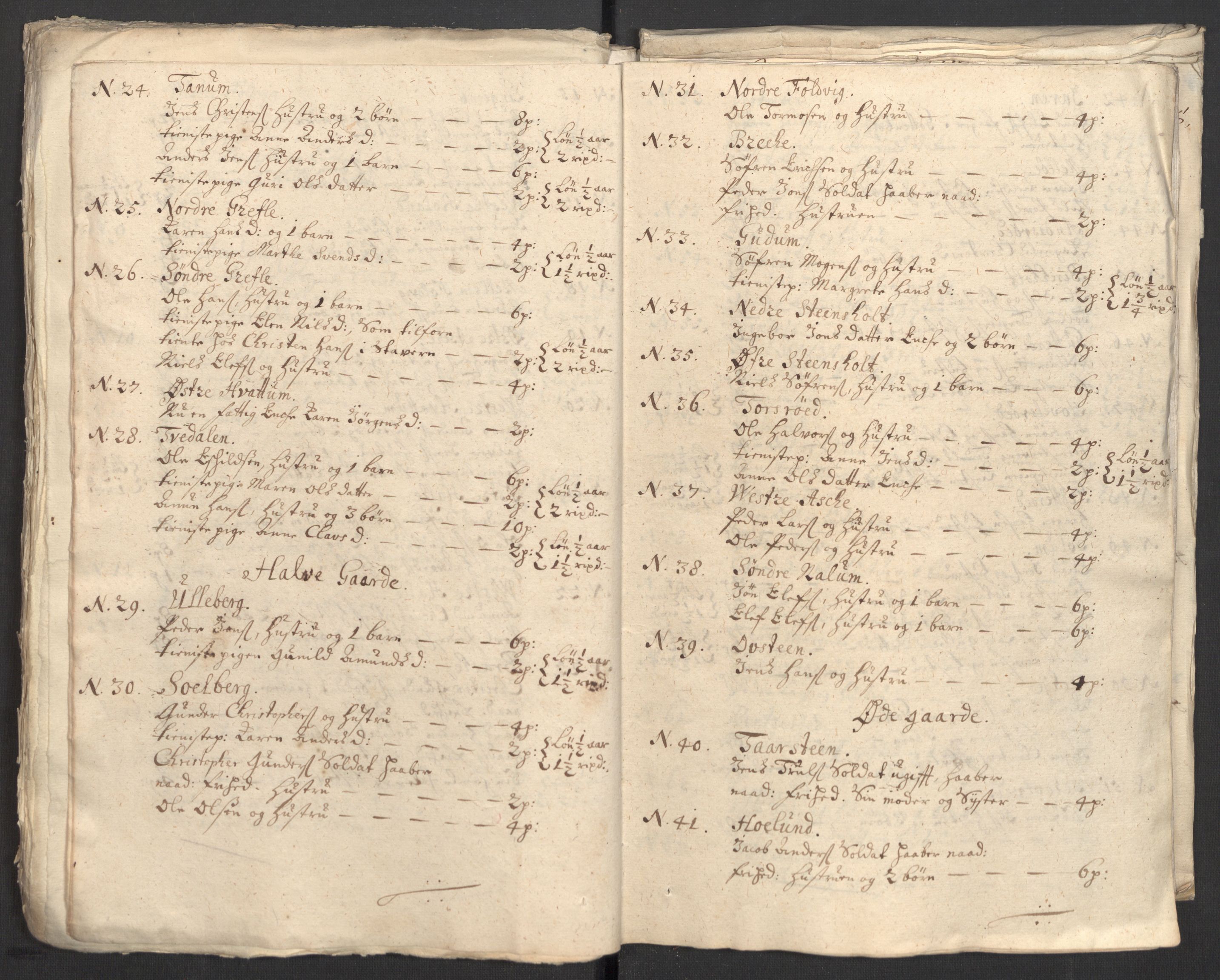 Rentekammeret inntil 1814, Reviderte regnskaper, Fogderegnskap, RA/EA-4092/R33/L1982: Fogderegnskap Larvik grevskap, 1711, p. 215