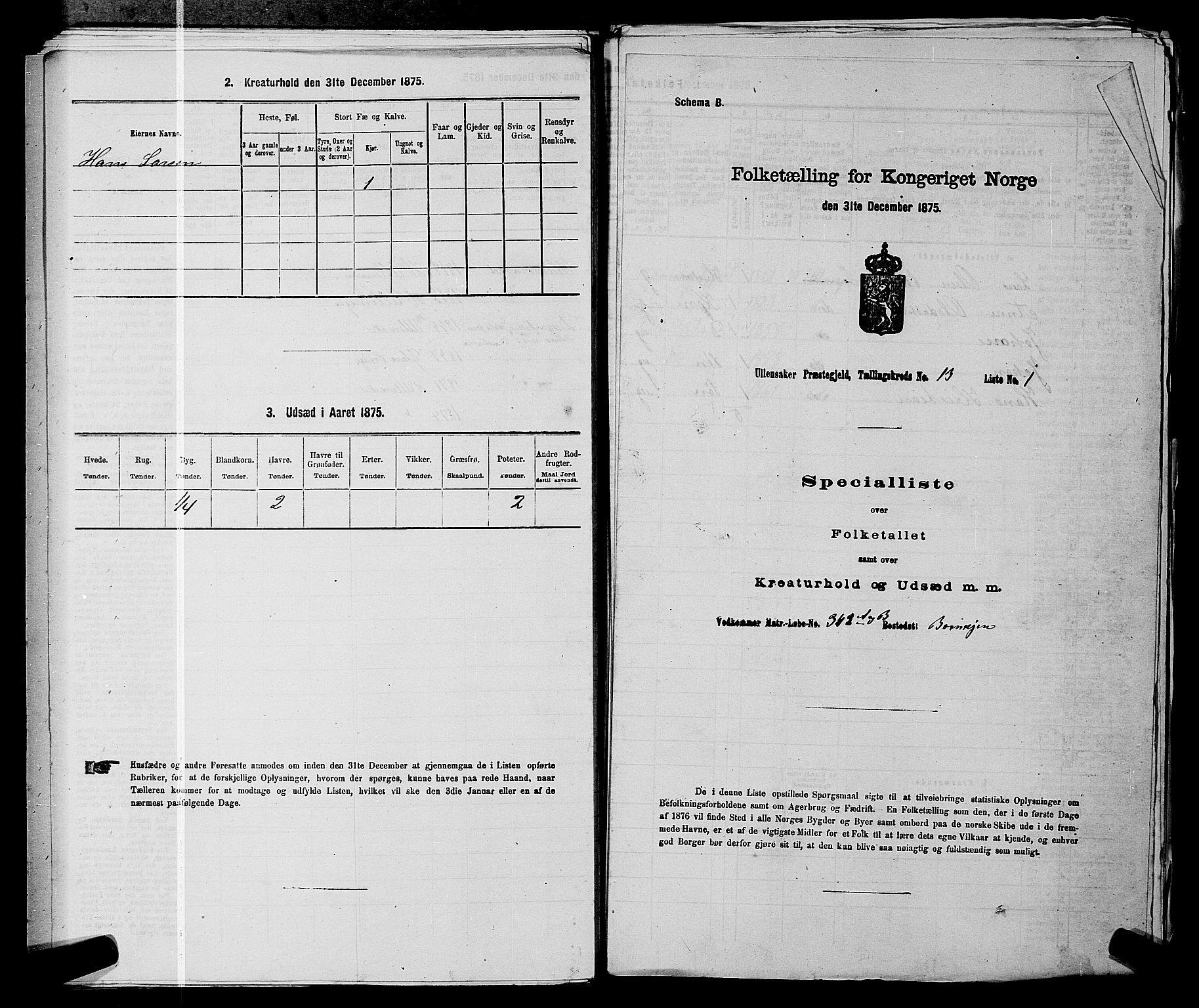 RA, 1875 census for 0235P Ullensaker, 1875, p. 1917