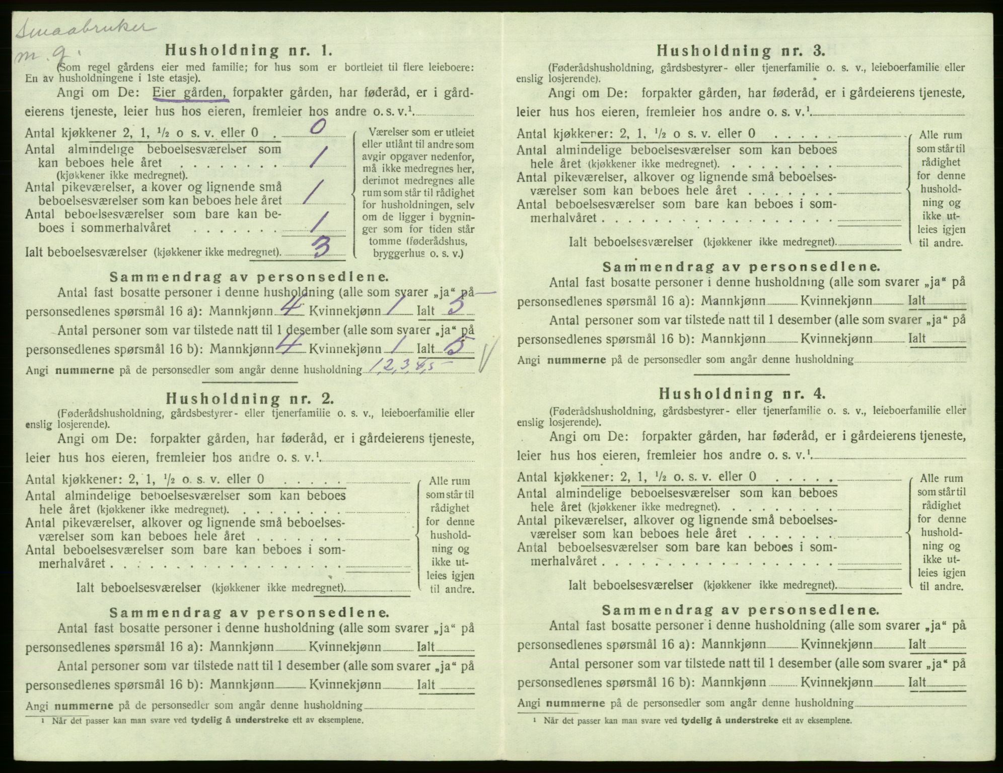 SAB, 1920 census for Kinsarvik, 1920, p. 449