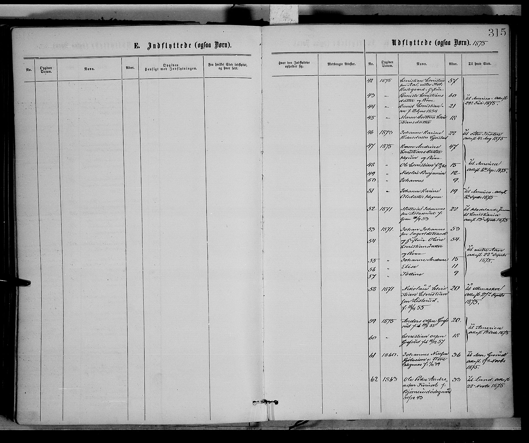 Vestre Toten prestekontor, AV/SAH-PREST-108/H/Ha/Haa/L0008: Parish register (official) no. 8, 1870-1877, p. 315