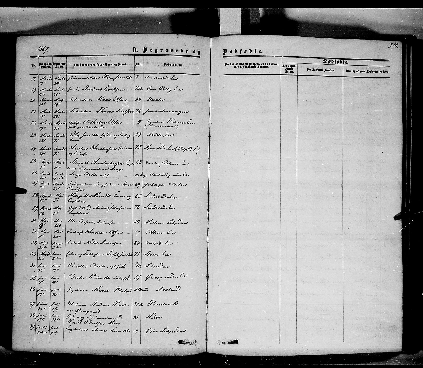 Stange prestekontor, SAH/PREST-002/K/L0013: Parish register (official) no. 13, 1862-1879, p. 318