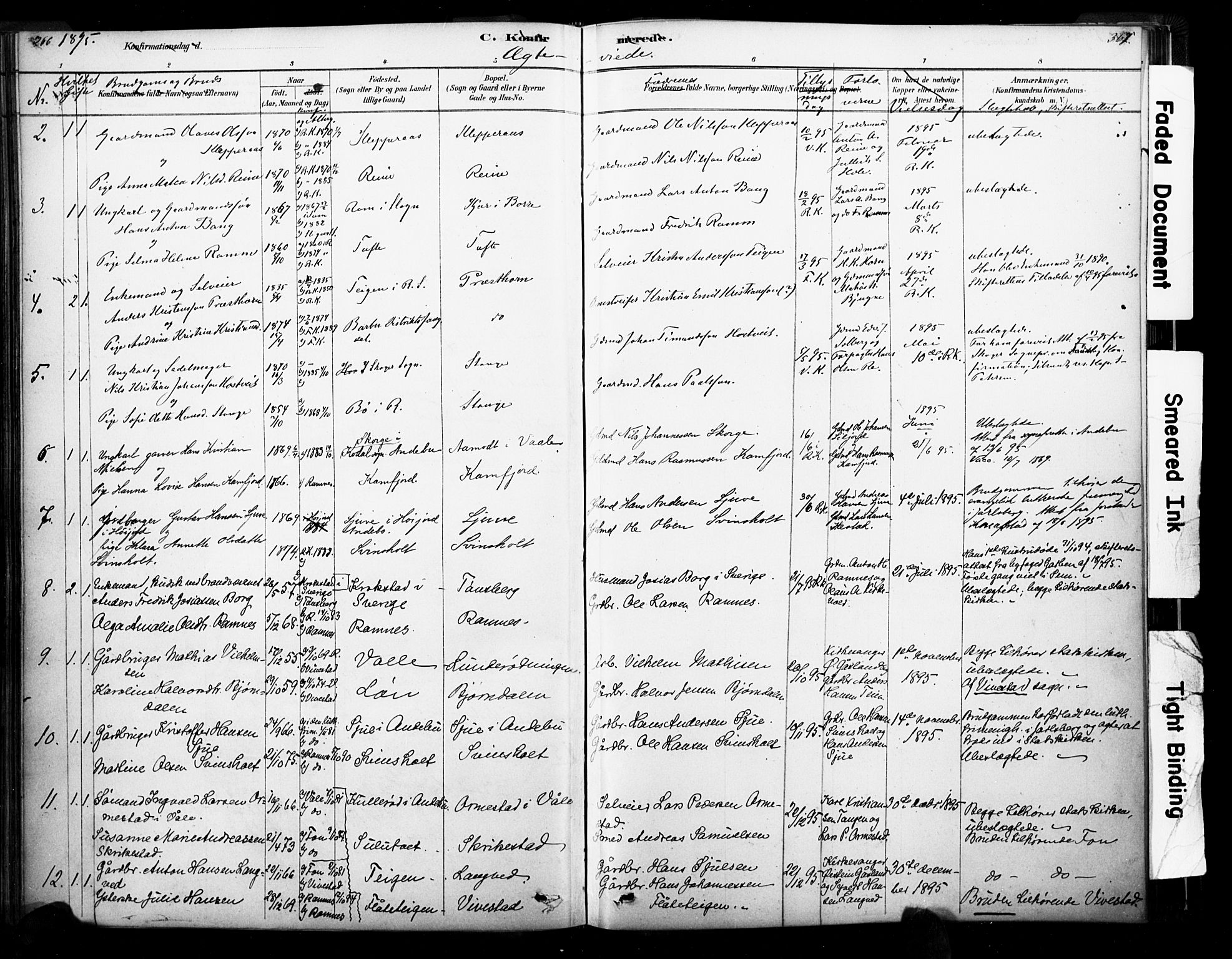 Ramnes kirkebøker, AV/SAKO-A-314/F/Fa/L0007: Parish register (official) no. I 7, 1878-1895, p. 366-367