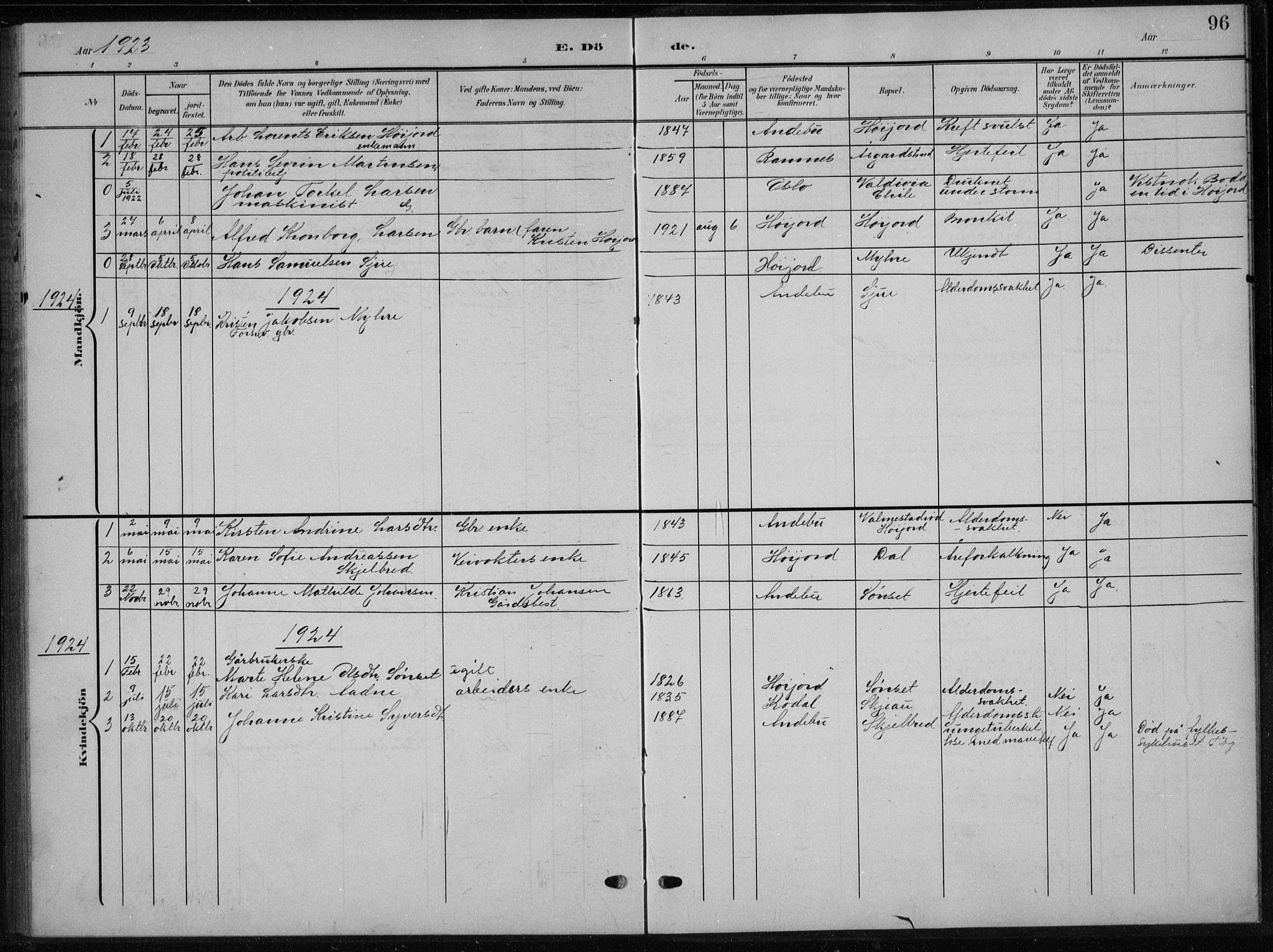 Andebu kirkebøker, AV/SAKO-A-336/G/Gb/L0001: Parish register (copy) no. II 1, 1901-1936, p. 96