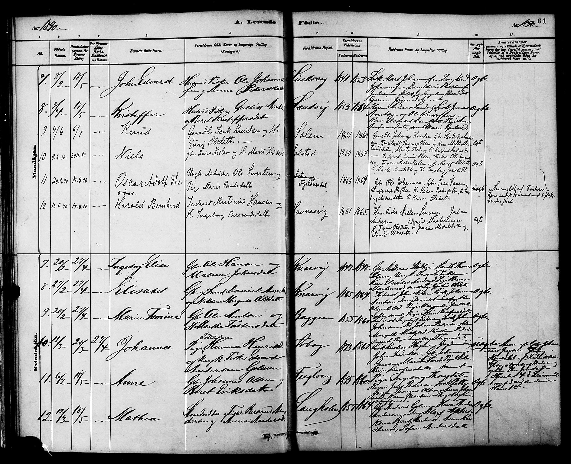 Ministerialprotokoller, klokkerbøker og fødselsregistre - Møre og Romsdal, AV/SAT-A-1454/577/L0896: Parish register (official) no. 577A03, 1880-1898, p. 61