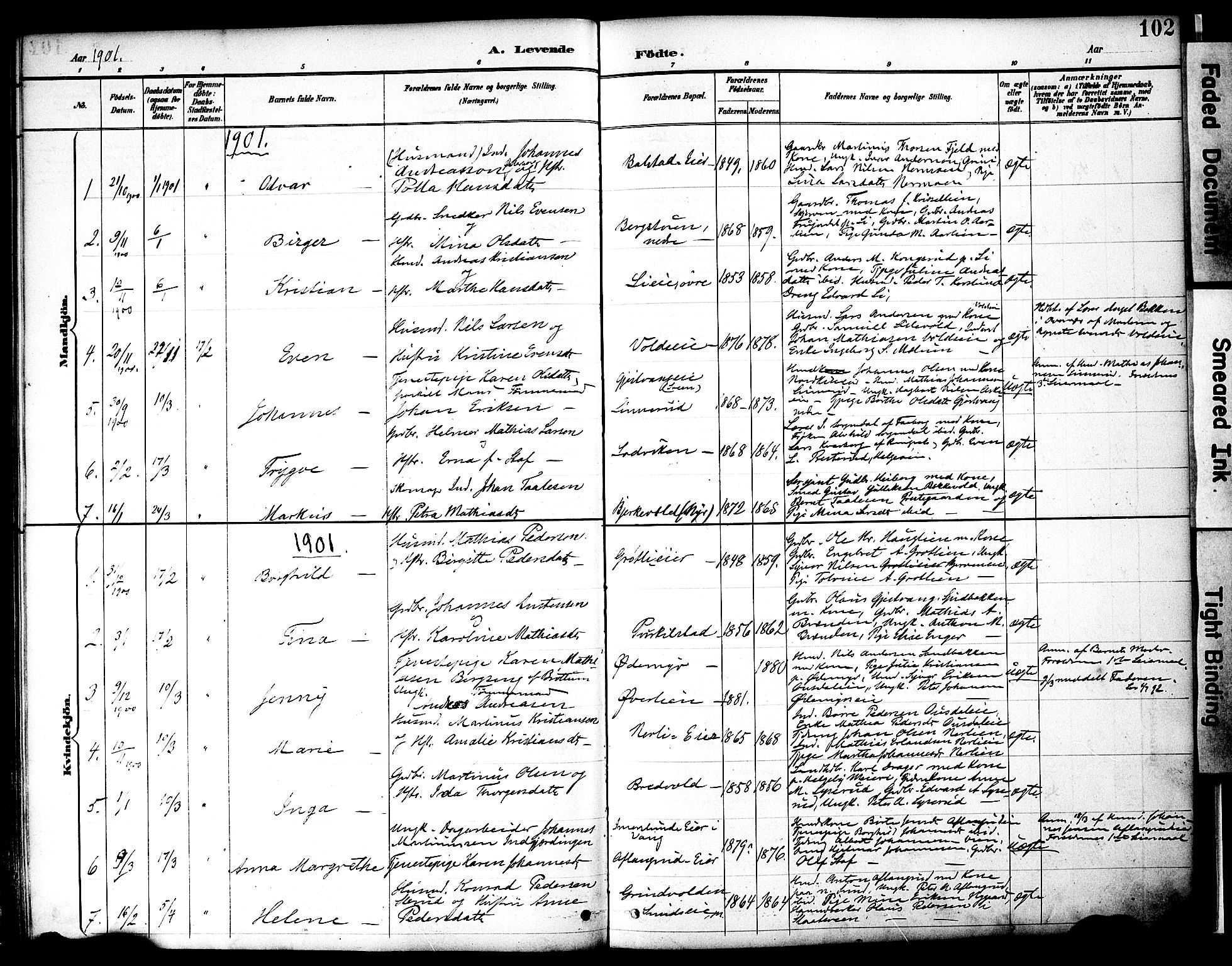 Nes prestekontor, Hedmark, SAH/PREST-020/K/Ka/L0009: Parish register (official) no. 9, 1887-1905, p. 102