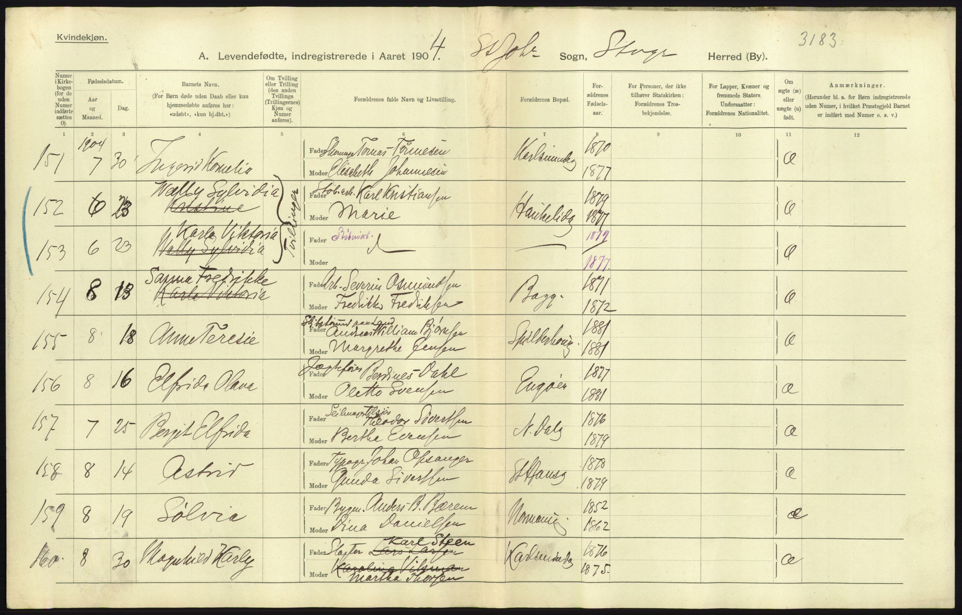 Statistisk sentralbyrå, Sosiodemografiske emner, Befolkning, AV/RA-S-2228/D/Df/Dfa/Dfab/L0012: Stavanger amt: Fødte, gifte, døde, 1904, p. 57