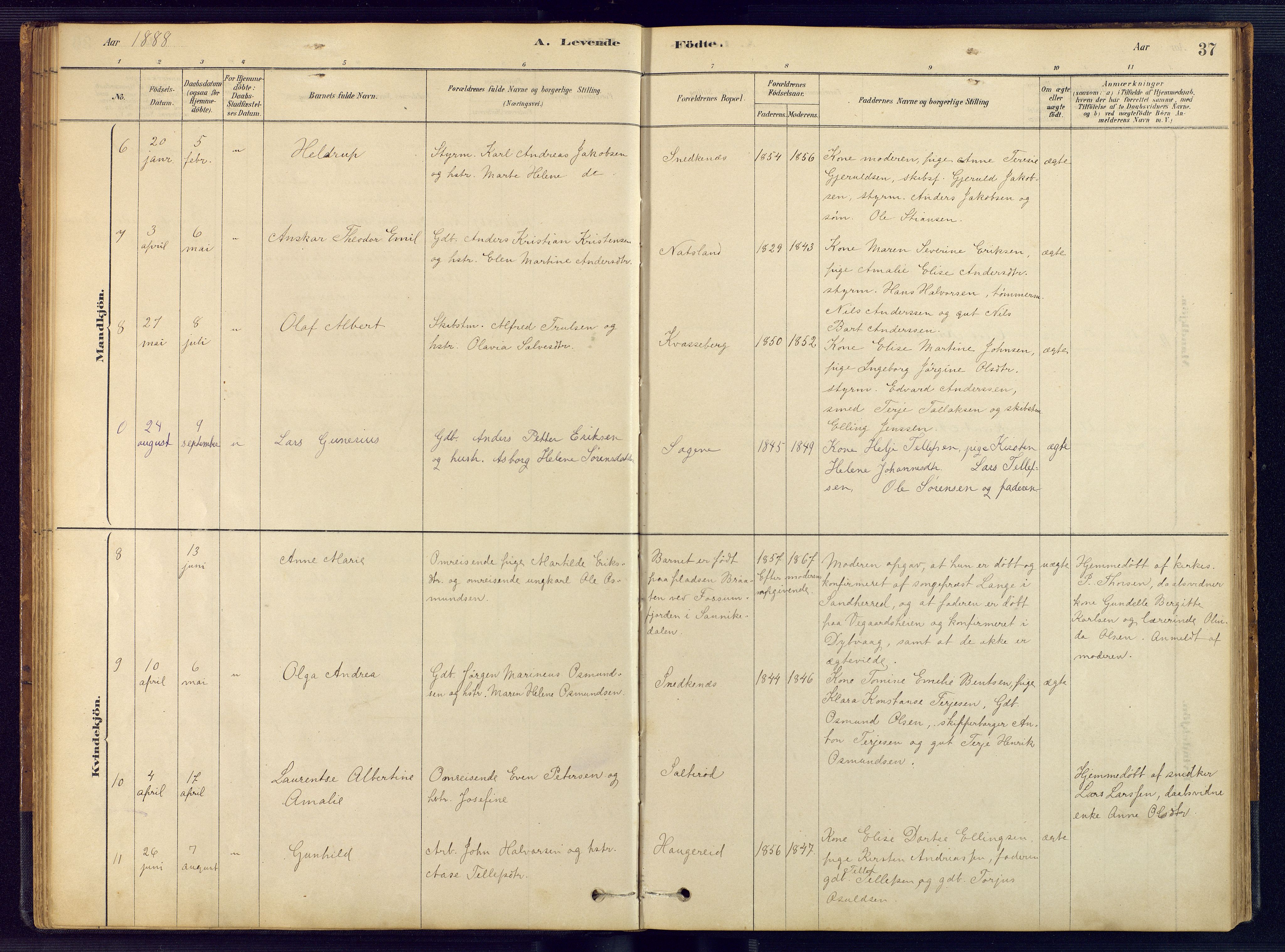 Austre Moland sokneprestkontor, AV/SAK-1111-0001/F/Fb/Fbb/L0001: Parish register (copy) no. B 1, 1878-1904, p. 37