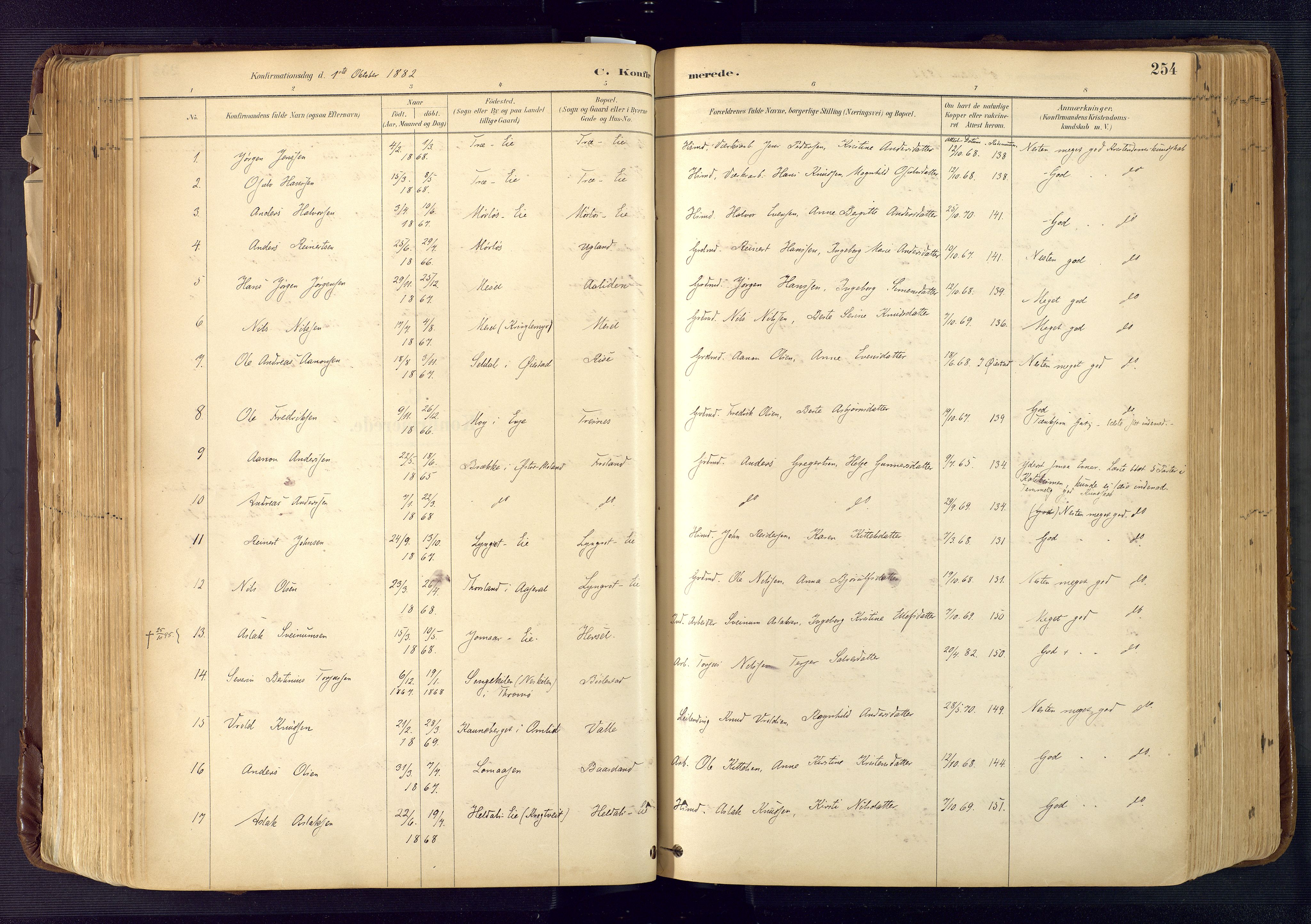 Froland sokneprestkontor, SAK/1111-0013/F/Fa/L0005: Parish register (official) no. A 5, 1882-1921, p. 254
