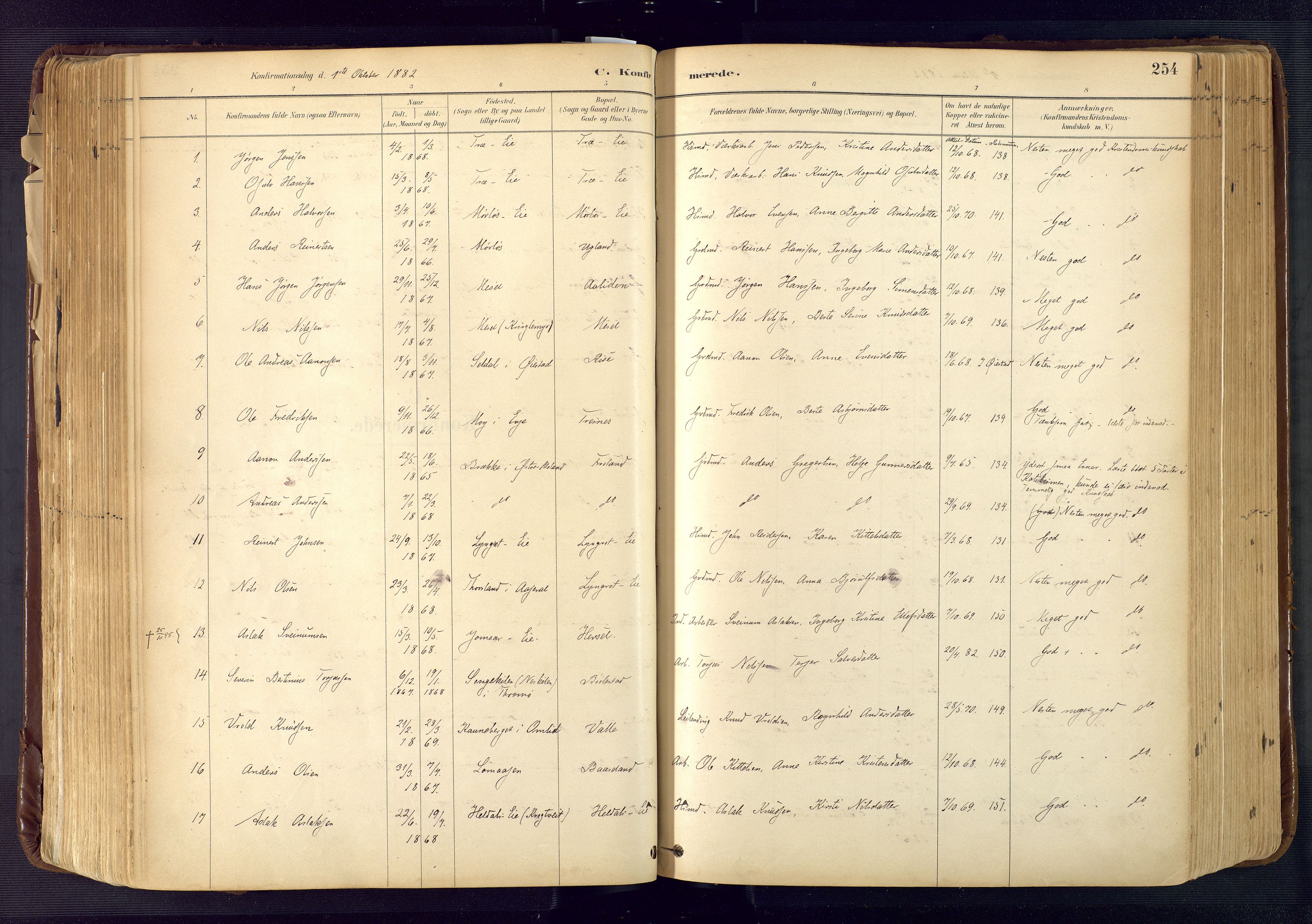 Froland sokneprestkontor, AV/SAK-1111-0013/F/Fa/L0005: Parish register (official) no. A 5, 1882-1921, p. 254