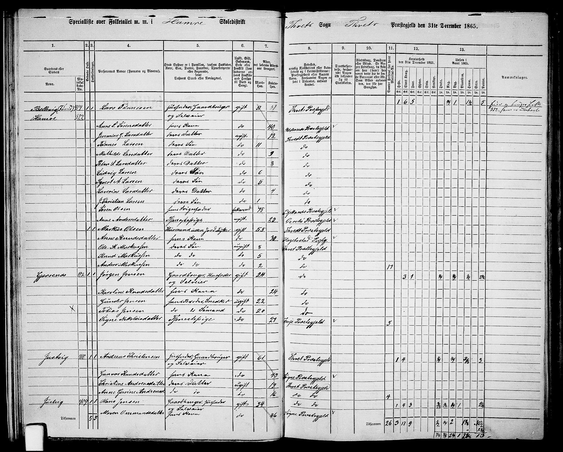 RA, 1865 census for Tveit, 1865, p. 30