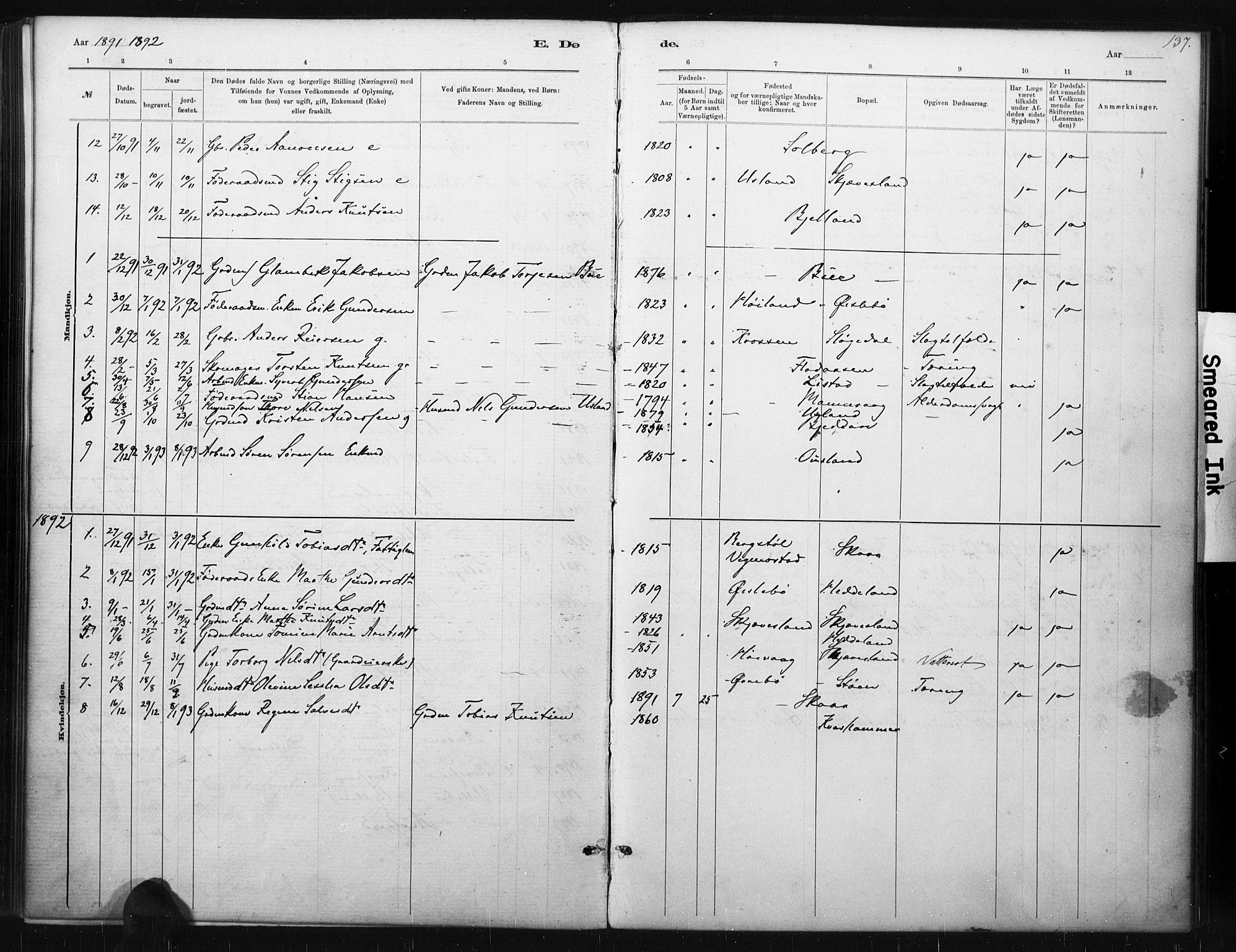 Holum sokneprestkontor, AV/SAK-1111-0022/F/Fa/Fac/L0004: Parish register (official) no. A 4, 1884-1907, p. 137