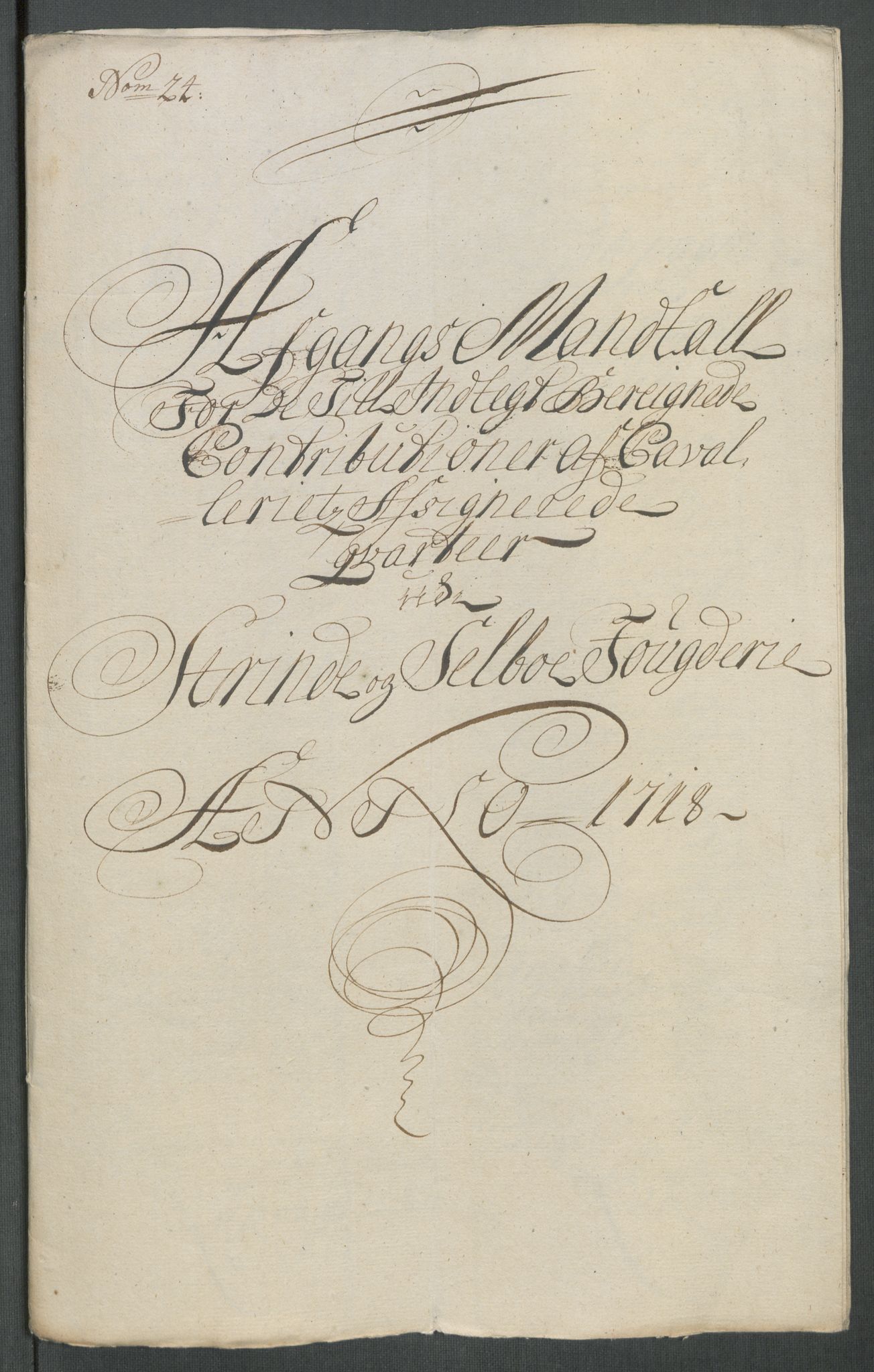 Rentekammeret inntil 1814, Reviderte regnskaper, Fogderegnskap, RA/EA-4092/R61/L4116: Fogderegnskap Strinda og Selbu, 1717-1718, p. 461